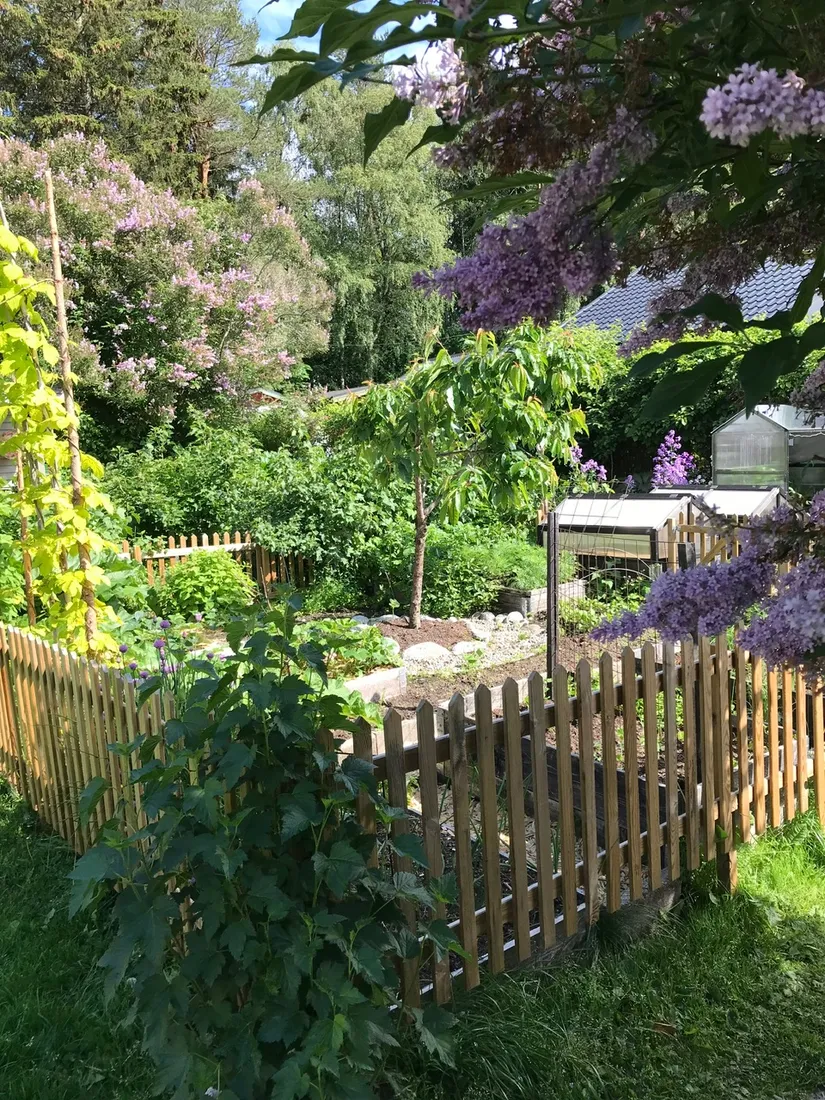 Villa, Skolmästargränd 16, Sofiehem, Umeå