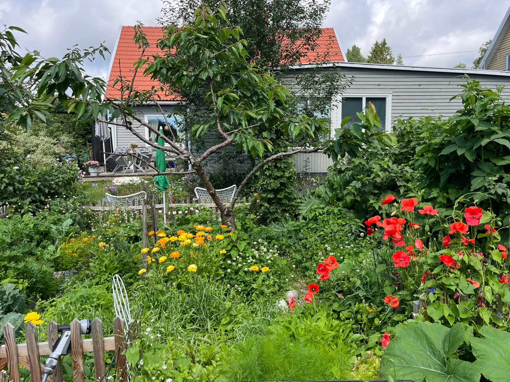 Villa, Skolmästargränd 16, Sofiehem, Umeå
