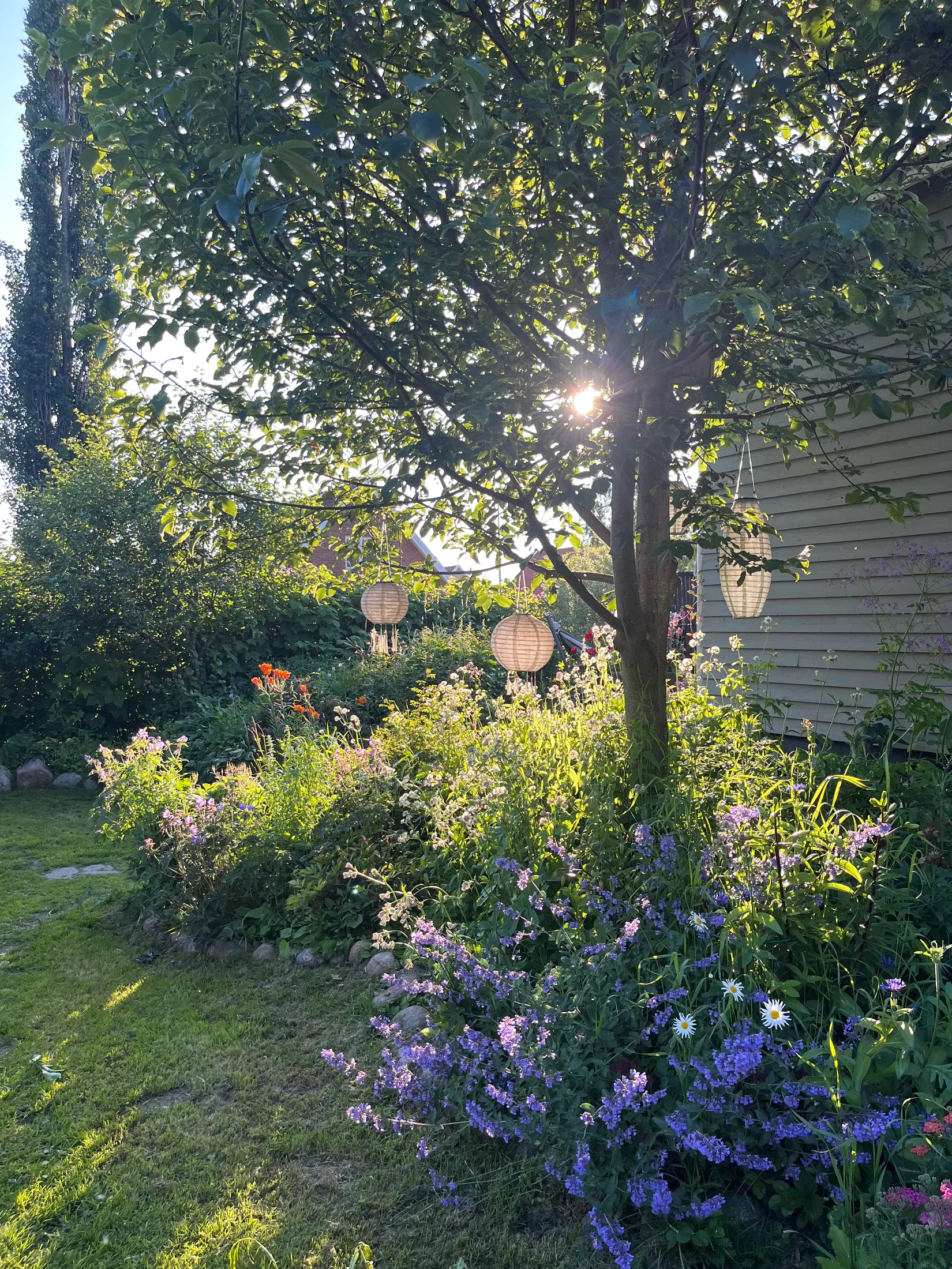 Villa, Skolmästargränd 16, Sofiehem, Umeå
