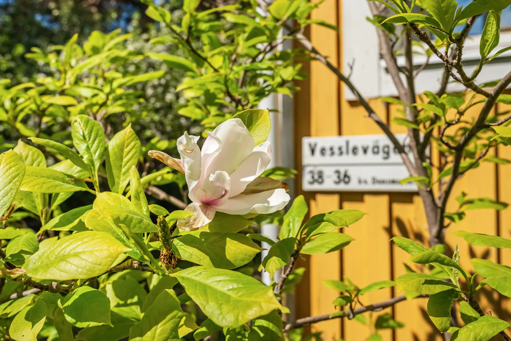 Villa, Vesslevägen 38, Ålsten, Stockholm
