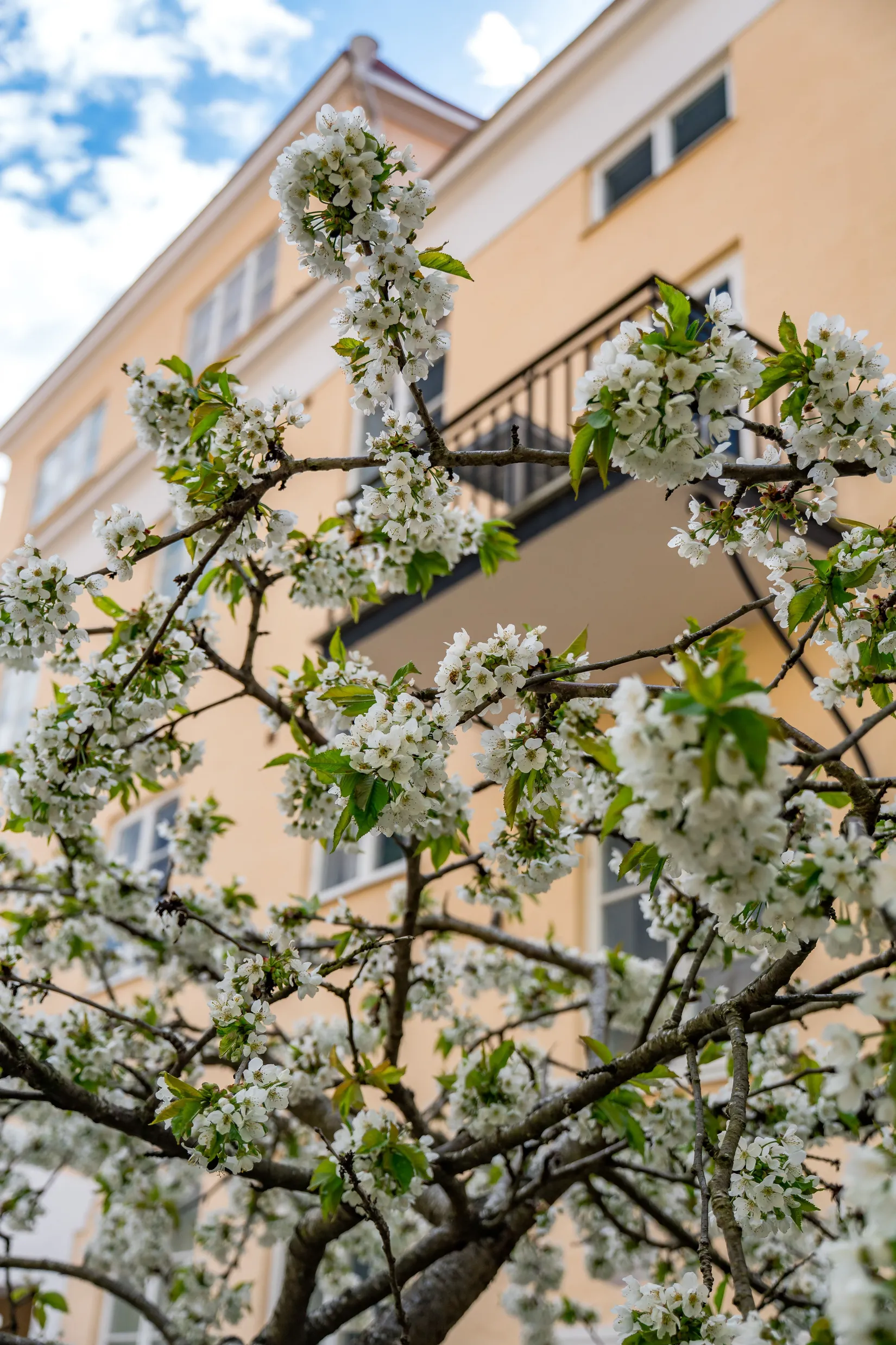 Bostadsrätt, Väderkvarnsgatan 46A, Fålhagen, Uppsala