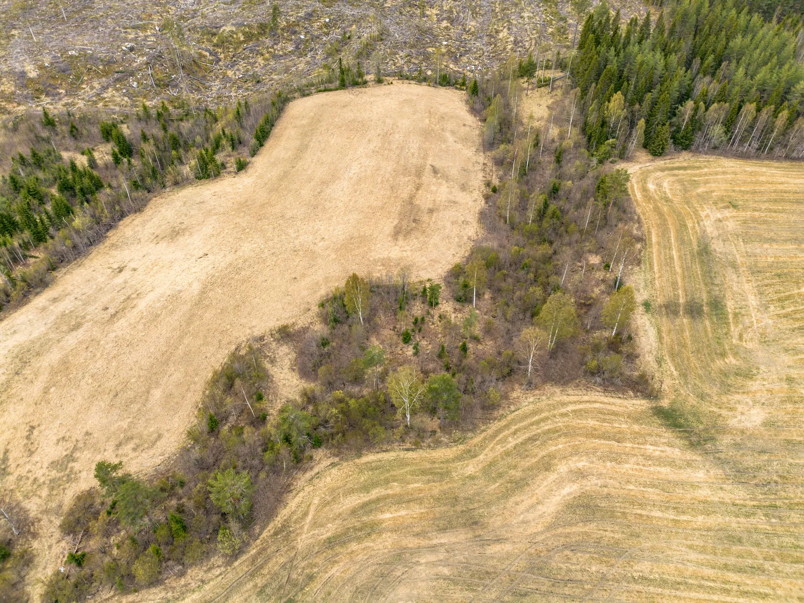 Gård/Skog, Ramneå 148 & 150, Sollefteå