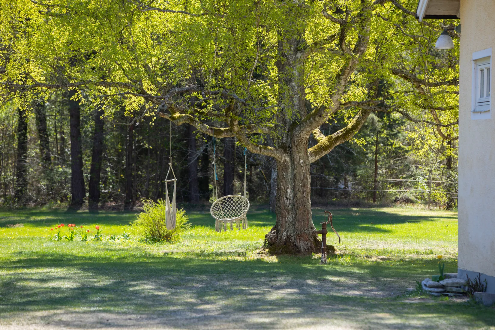 Gård/Skog, Sanda Prästgården 227, Sanda, Gotland