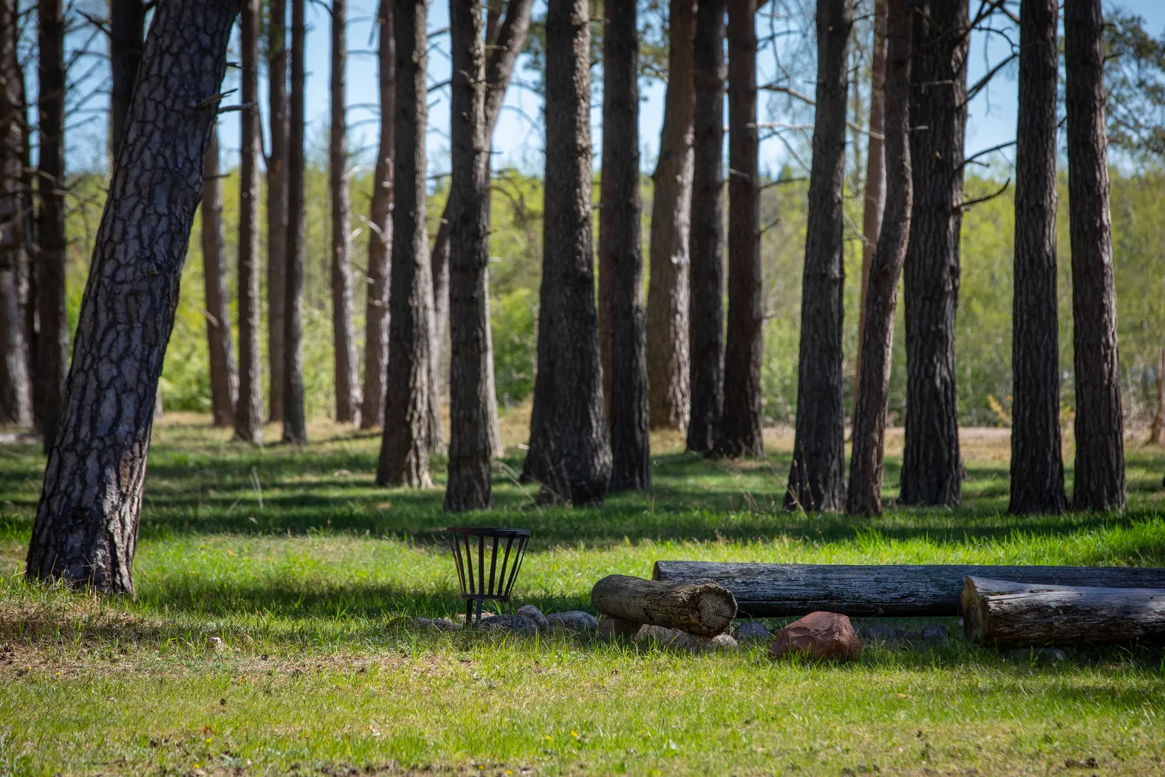 Gård/Skog, Sanda Prästgården 227, Sanda, Gotland
