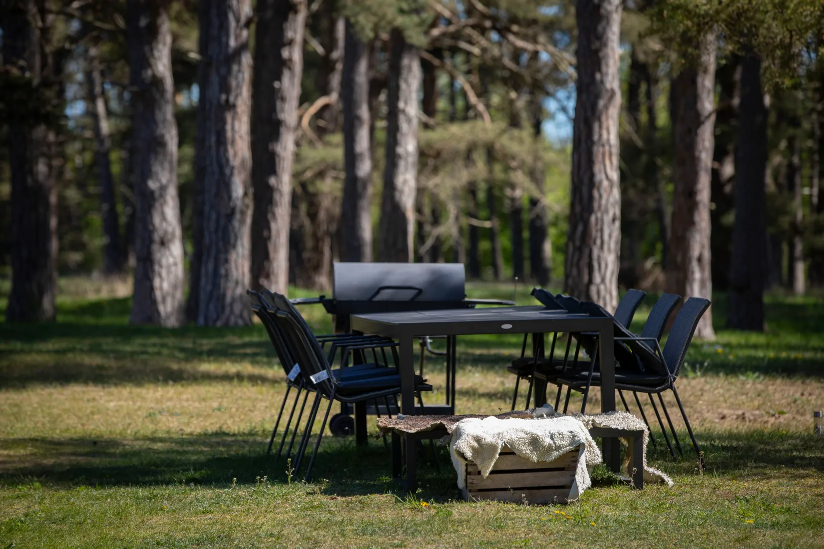Gård/Skog, Sanda Prästgården 227, Sanda, Gotland