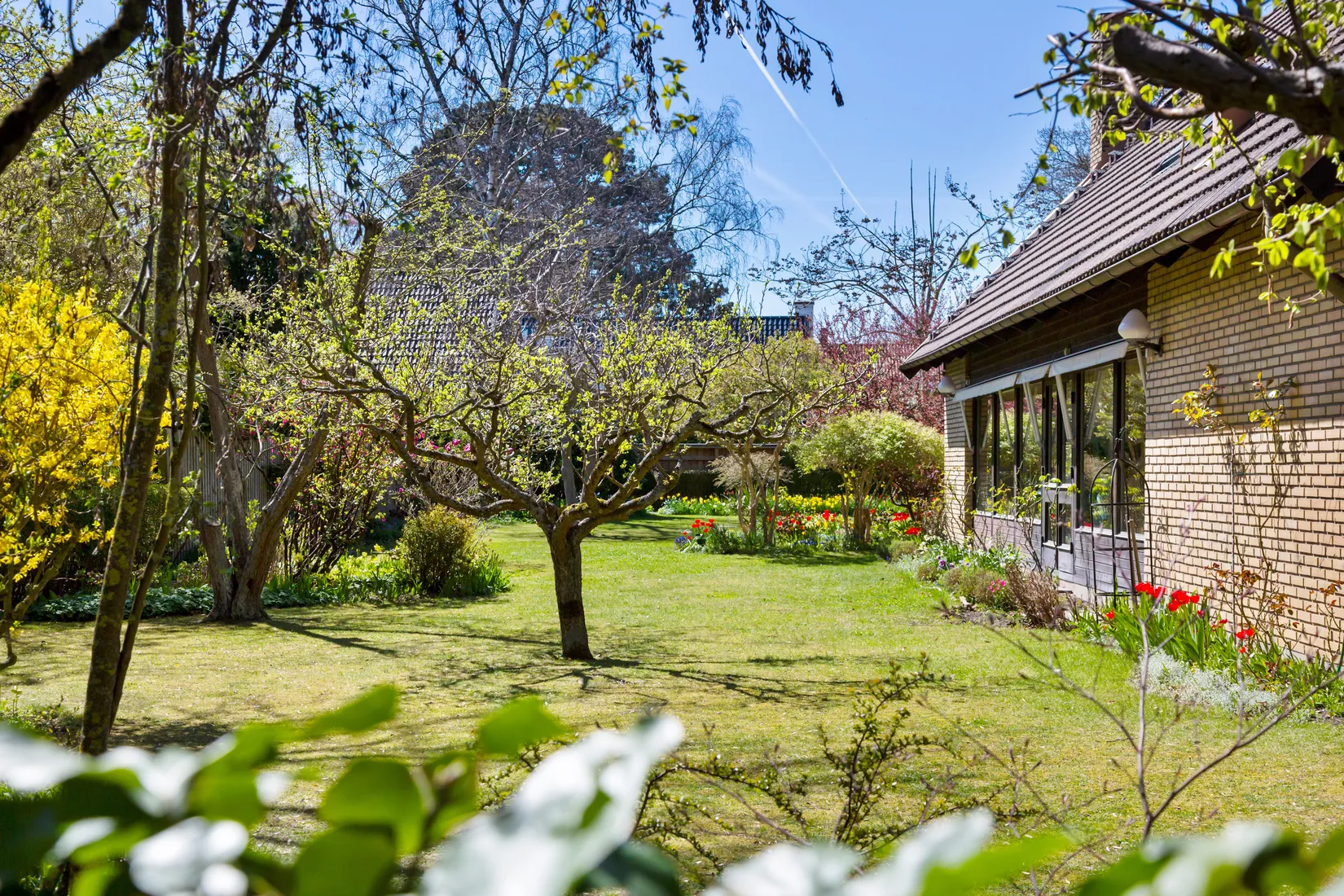 Villa, Adolf Fredriksgatan 15A, Fridhem, Malmö