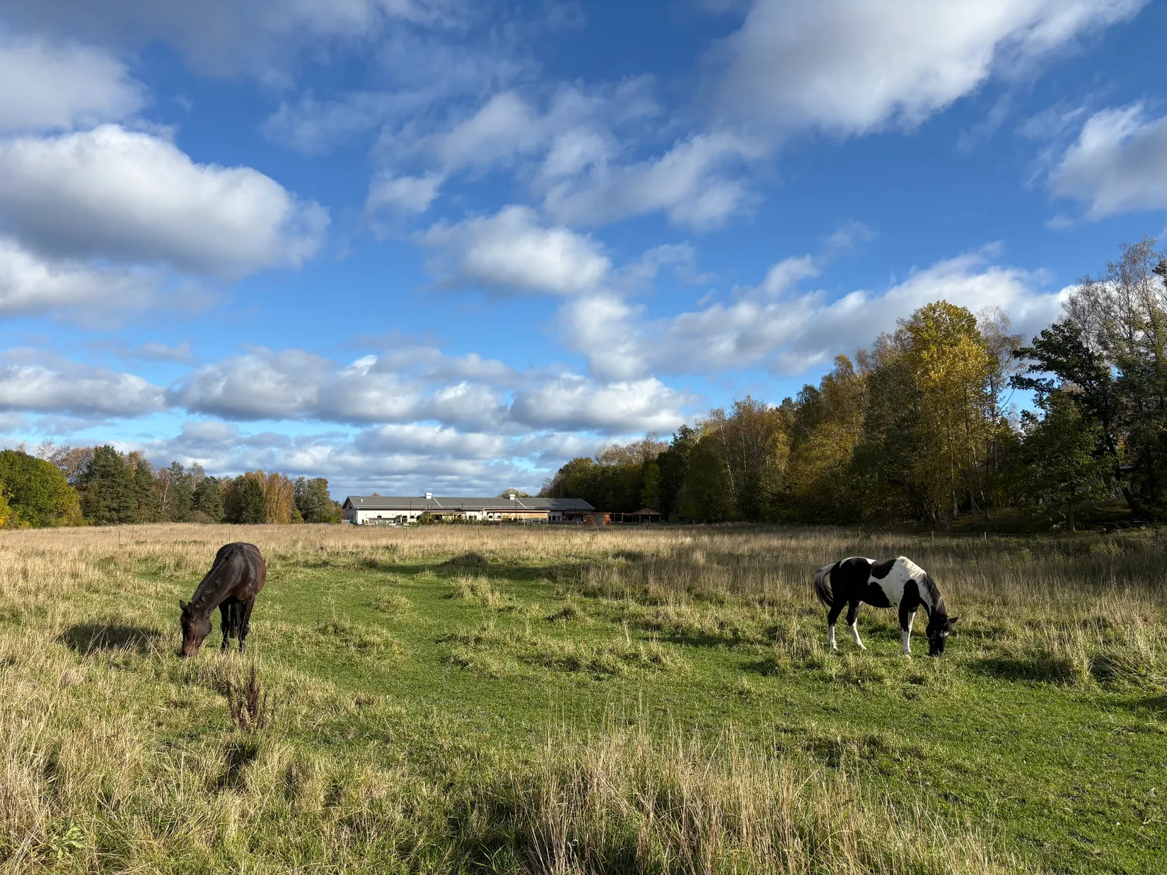 Bostadsrätt, Radhus, Svinningeuddsvägen  12K, Svinninge, Österåker
