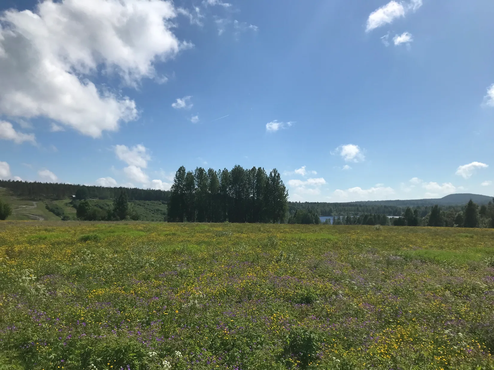 Villa, Kassjö 456, Umeå