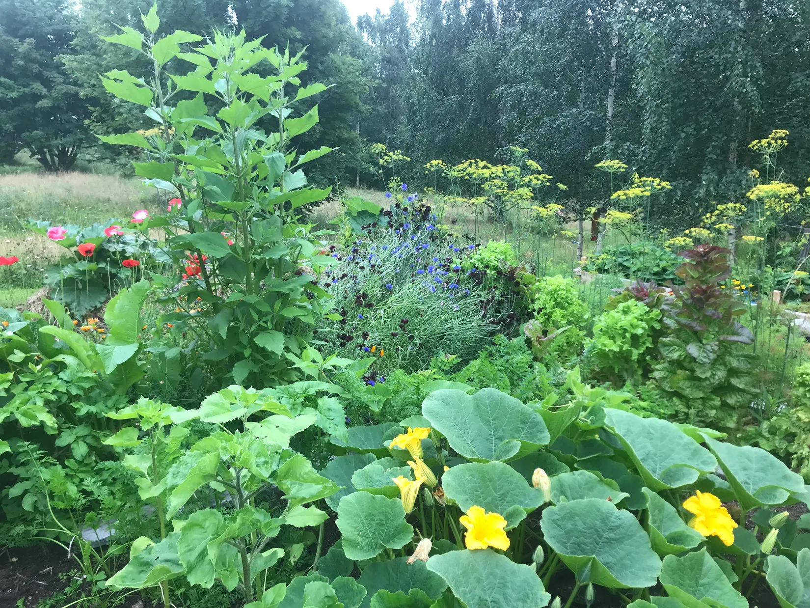 Villa, Kassjö 456, Umeå