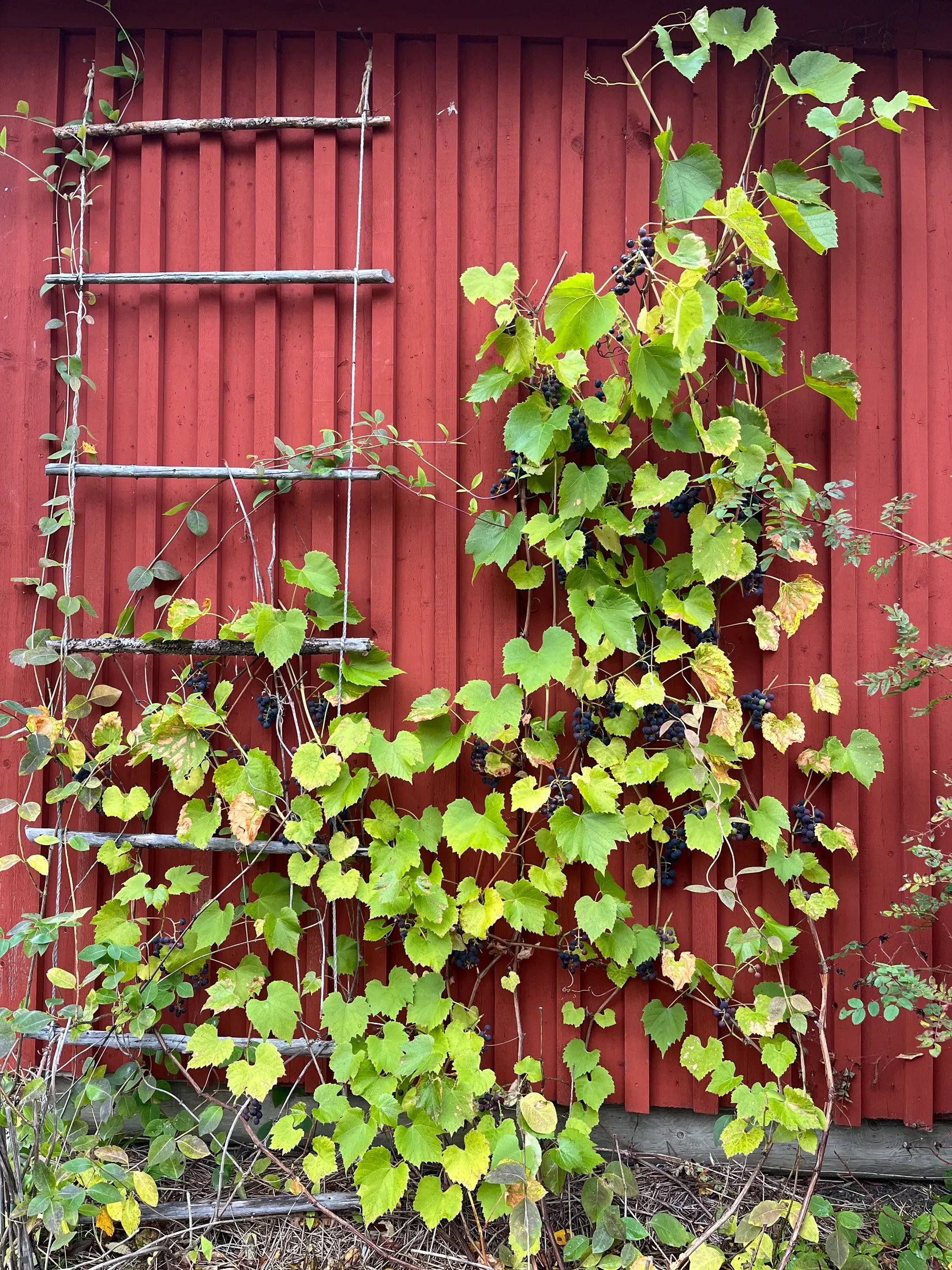 Villa, Kassjö 456, Umeå