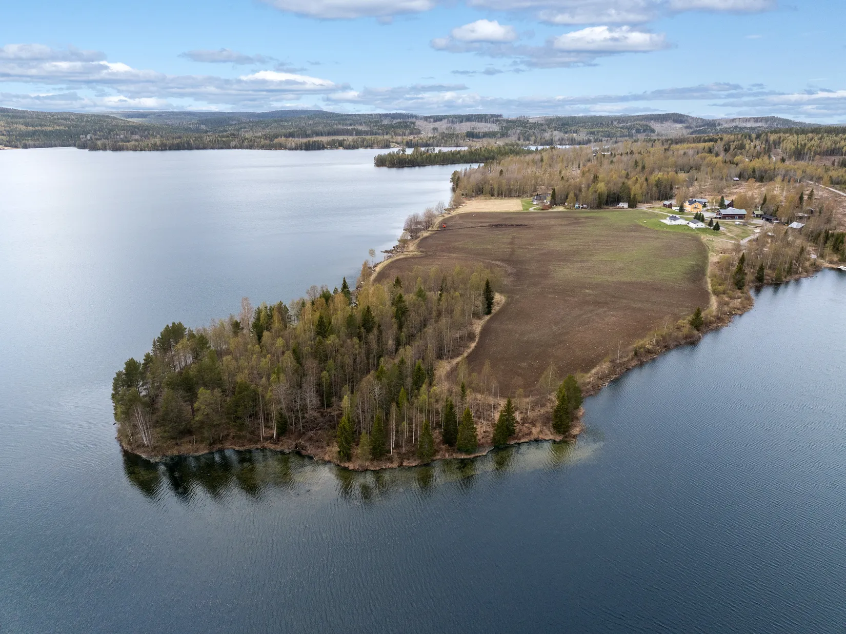 Gård/Skog, Storhullsjön 445, Sundsvall