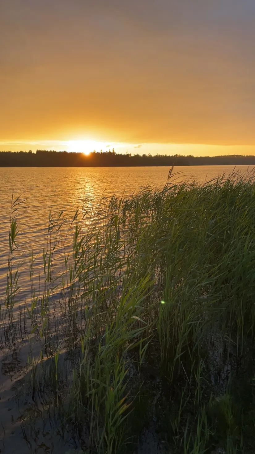 Fritidshus, Starkeryd ÄNG 1, Skillingaryd