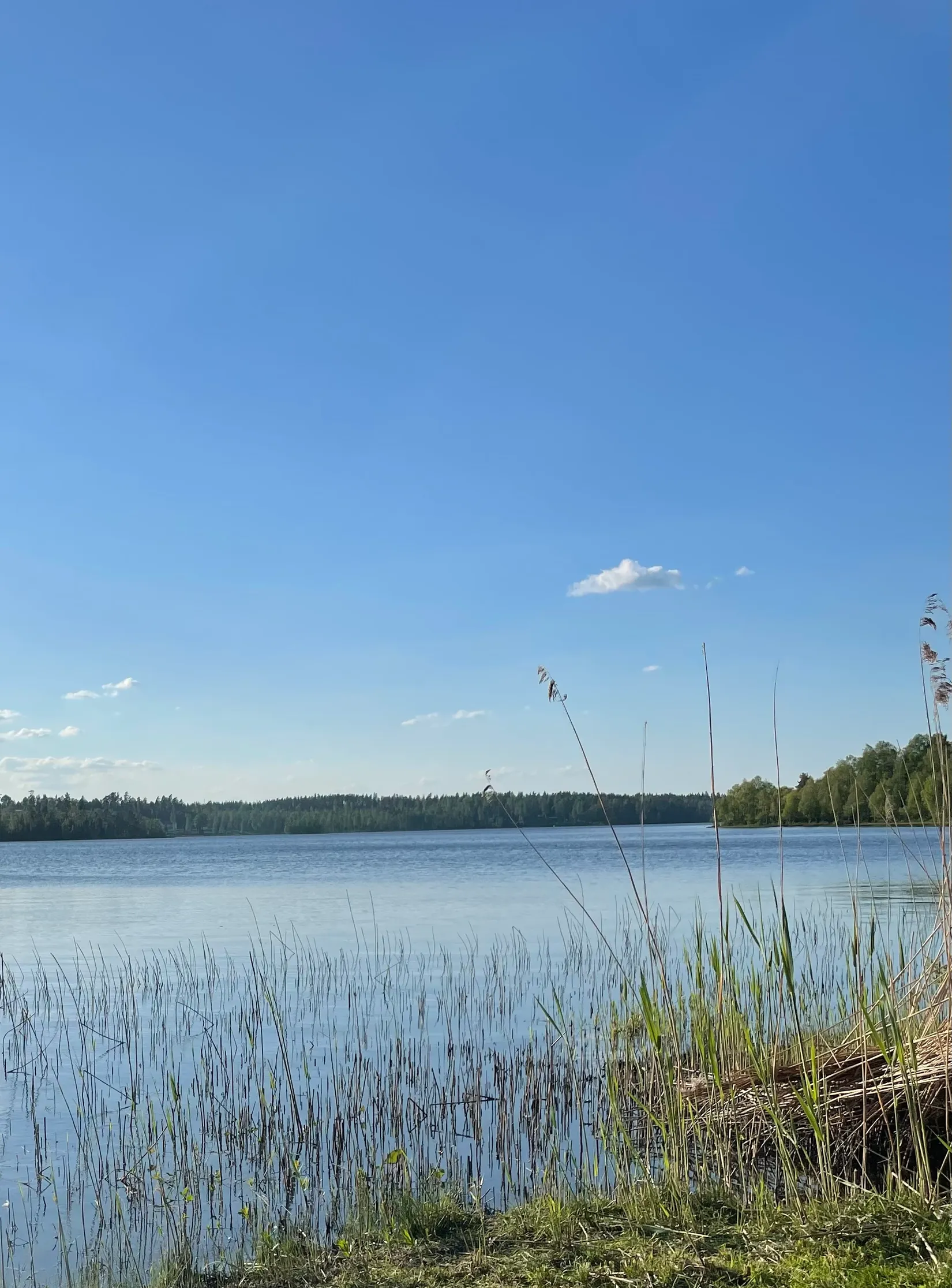 Fritidshus, Starkeryd ÄNG 1, Skillingaryd