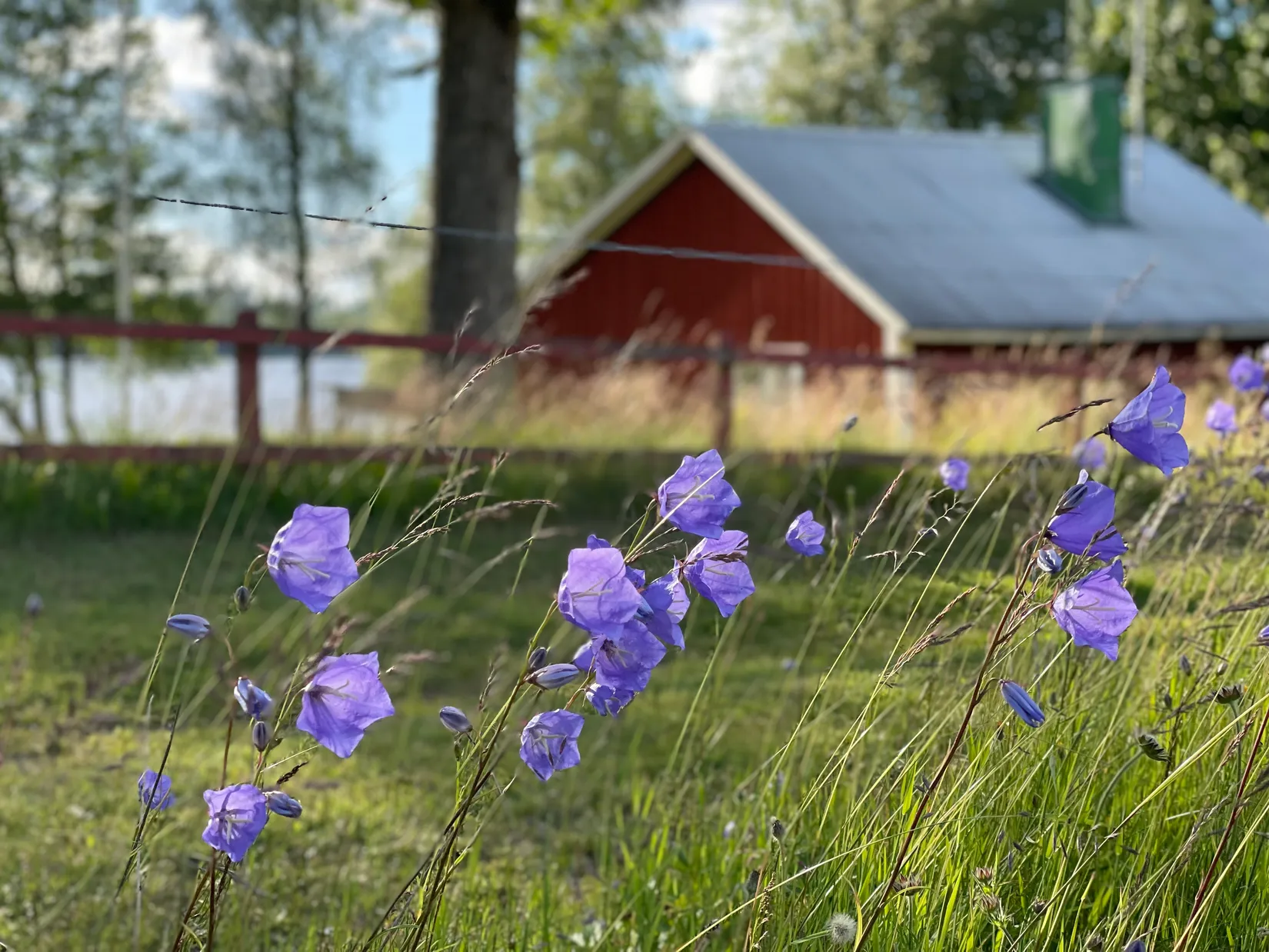 Fritidshus, Starkeryd ÄNG 1, Skillingaryd