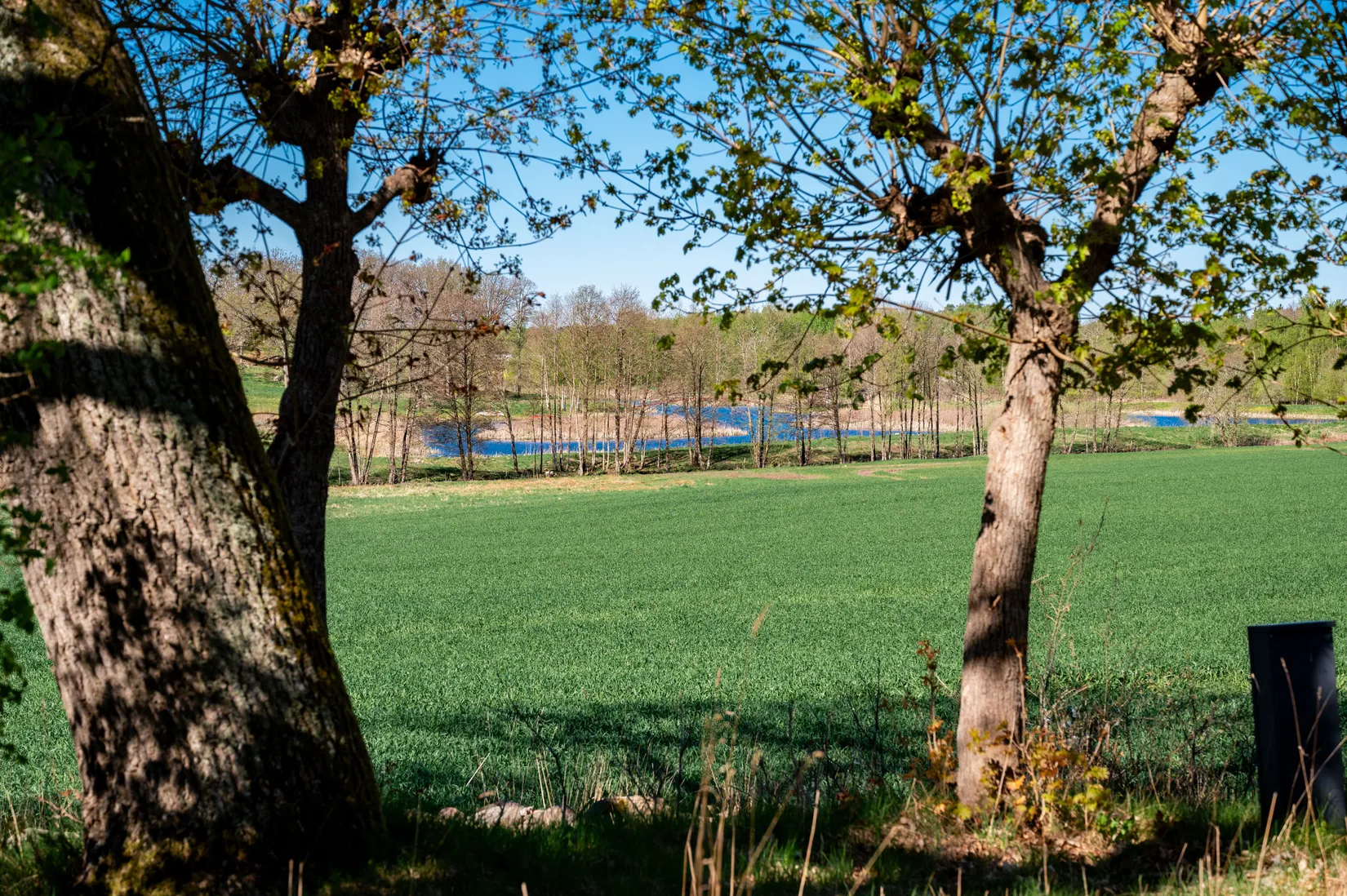 Villa, Bitterna Blombacka 2, Bitterna, Vara