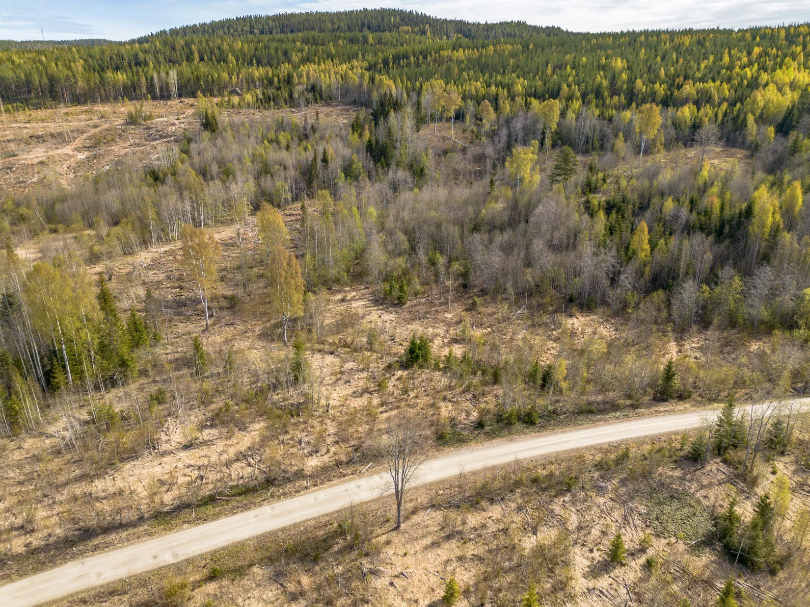 Gård/Skog, Forsmo 228, Sollefteå
