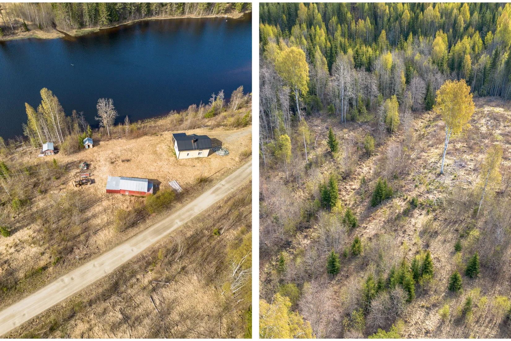 Gård/Skog, Forsmo 228, Sollefteå
