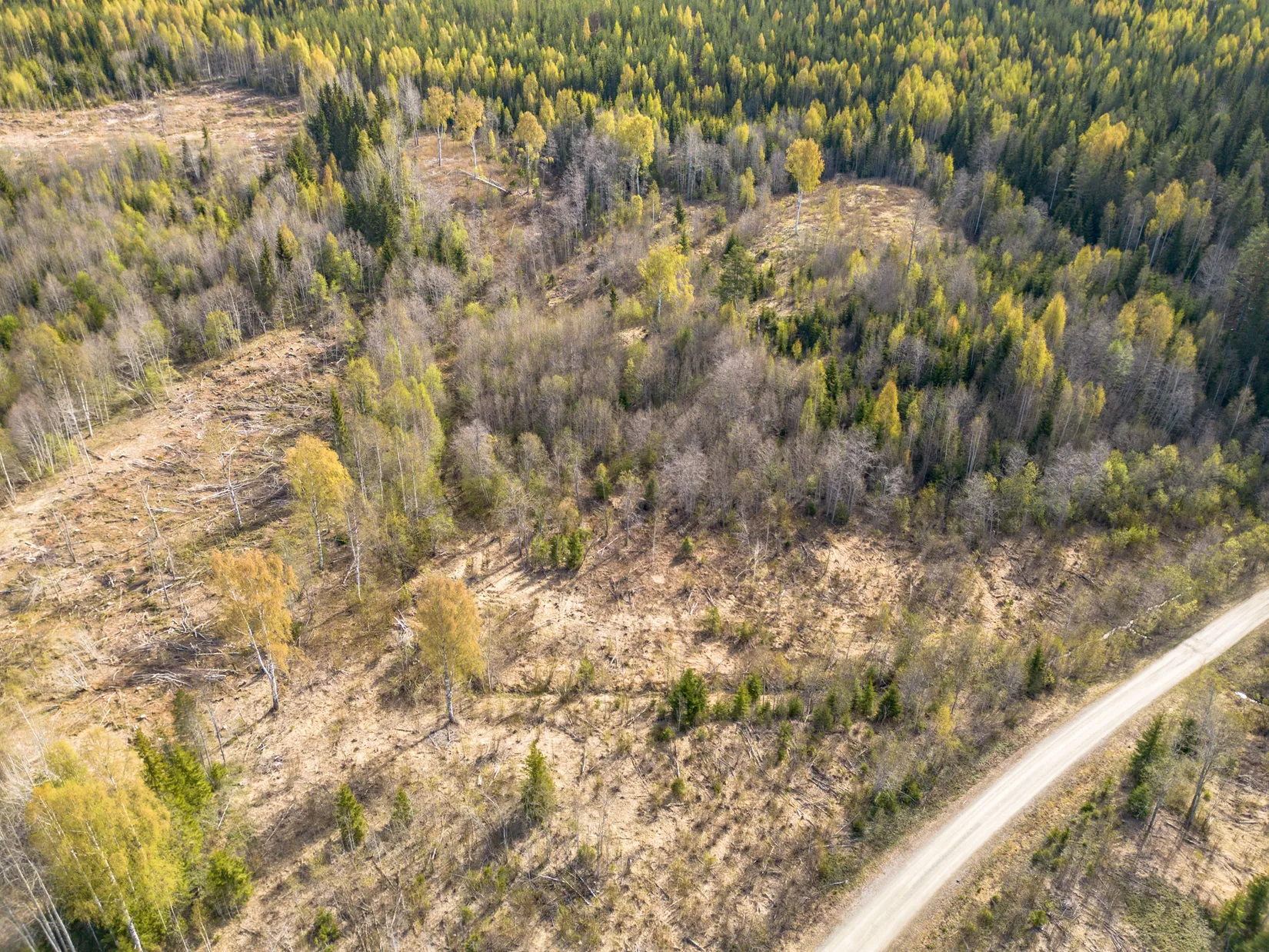 Gård/Skog, Forsmo 228, Sollefteå