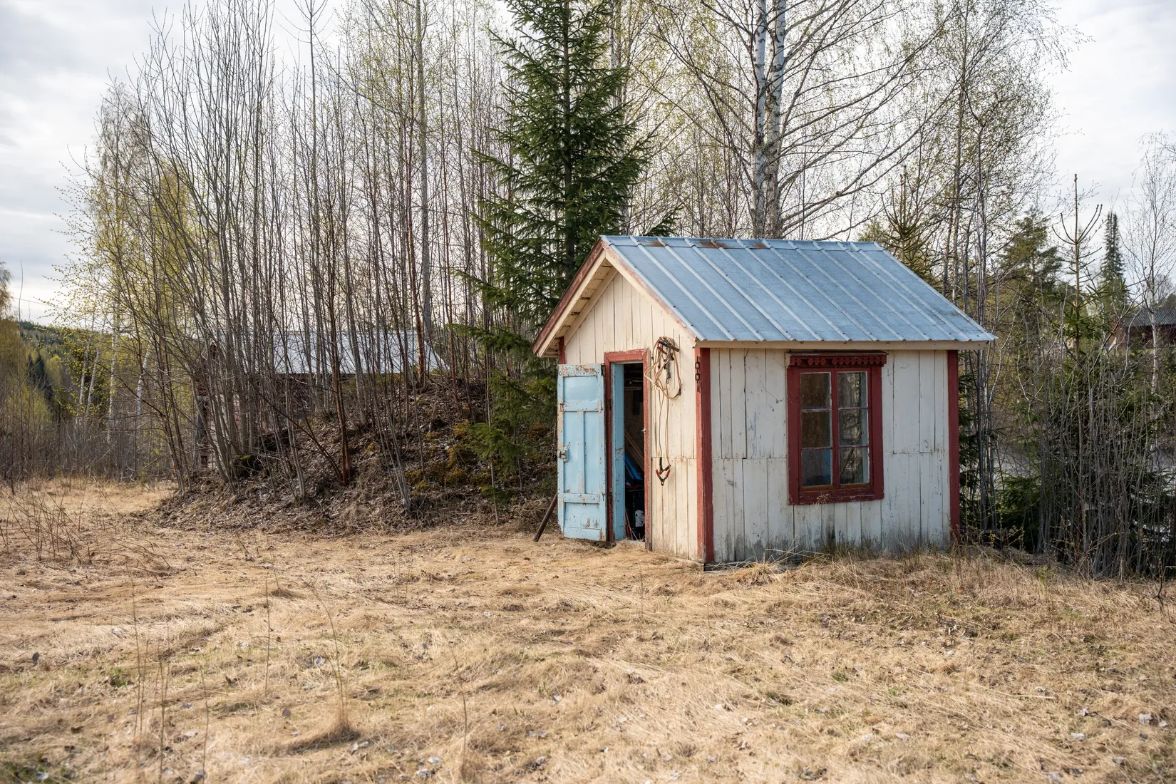 Gård/Skog, Forsmo 228, Sollefteå