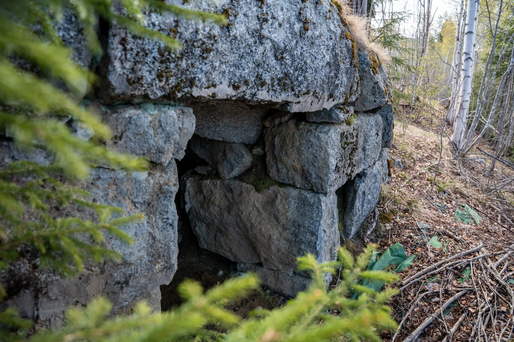Gård/Skog, Forsmo 228, Sollefteå