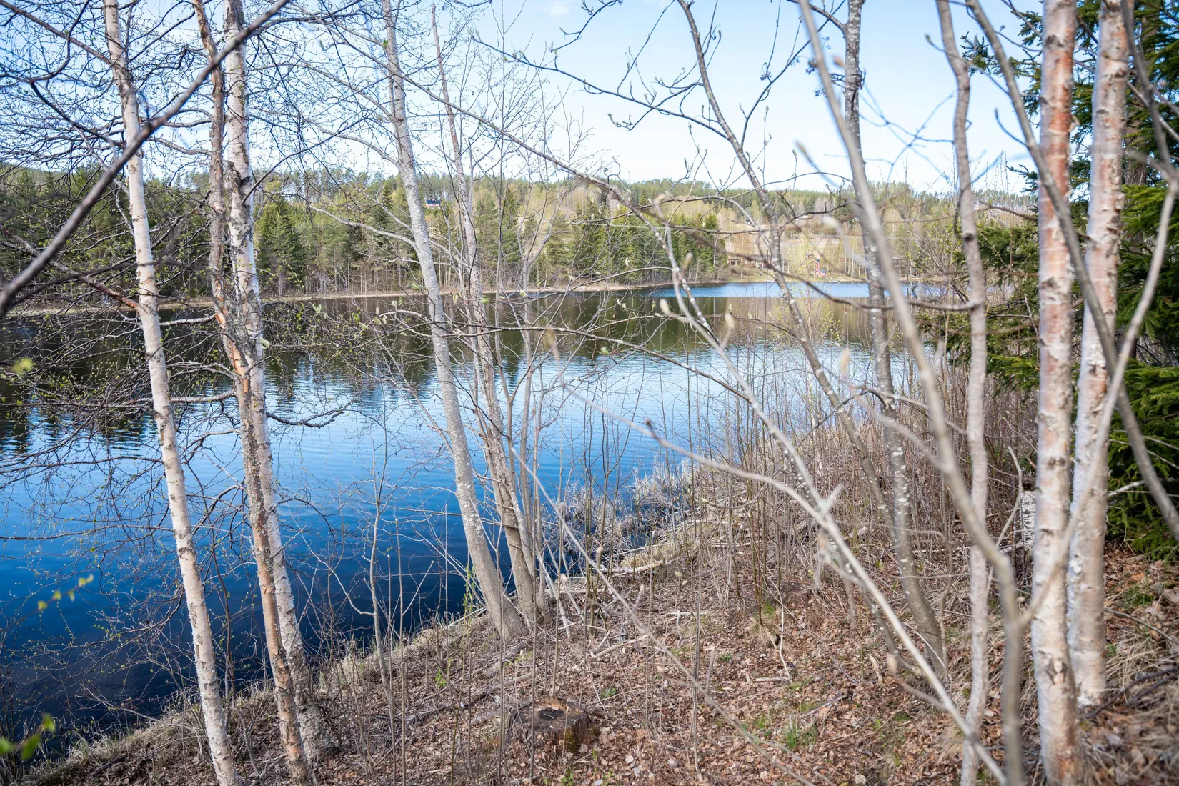 Gård/Skog, Forsmo 228, Sollefteå
