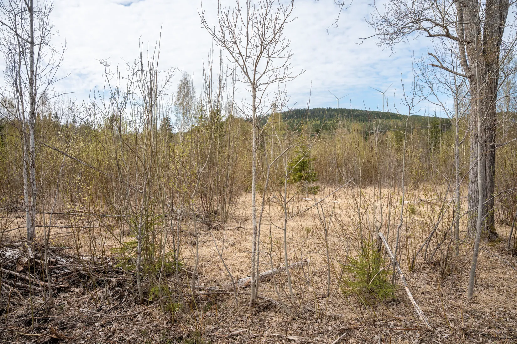 Gård/Skog, Forsmo 228, Sollefteå