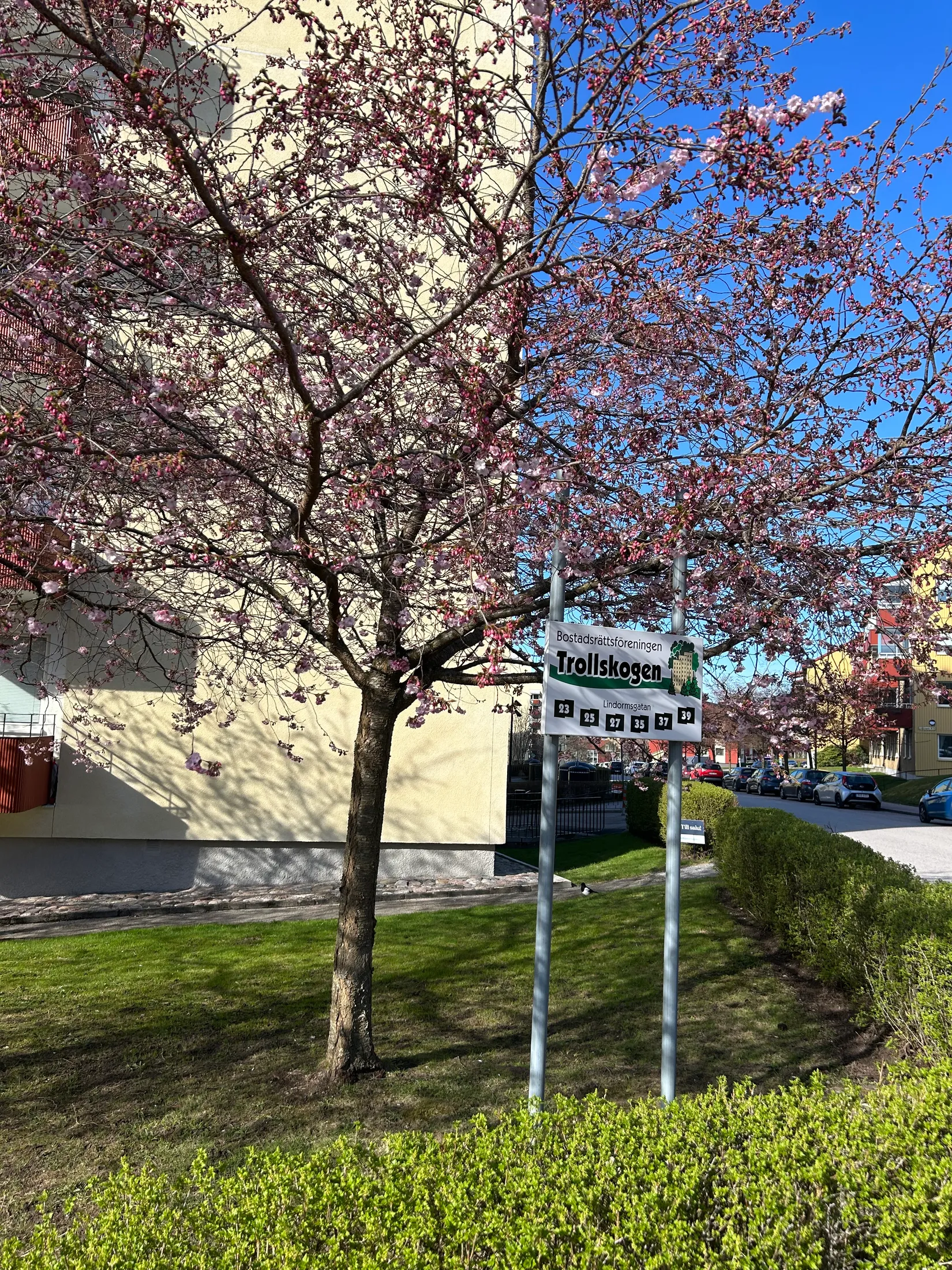Bostadsrätt, Lindormsgatan 23, Sjöbo, Borås