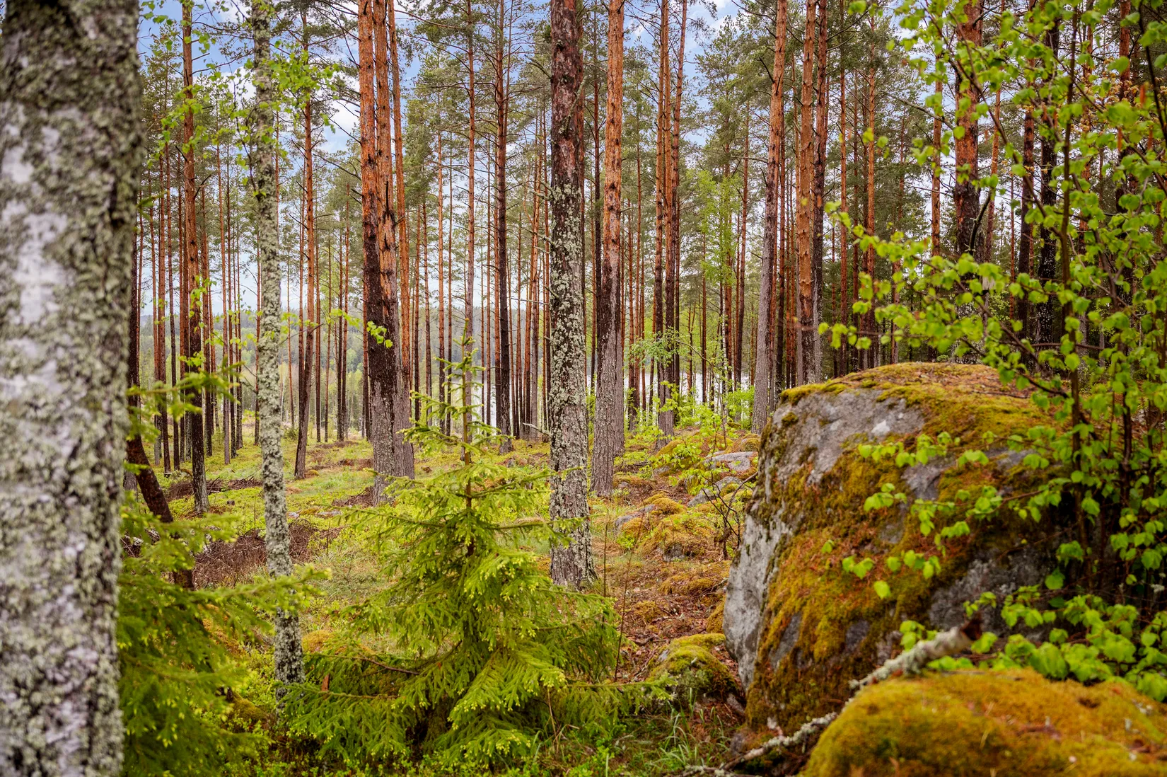 Fritidshus, Törndalsvägen 15, Törndal/Harva, Upplands Väsby