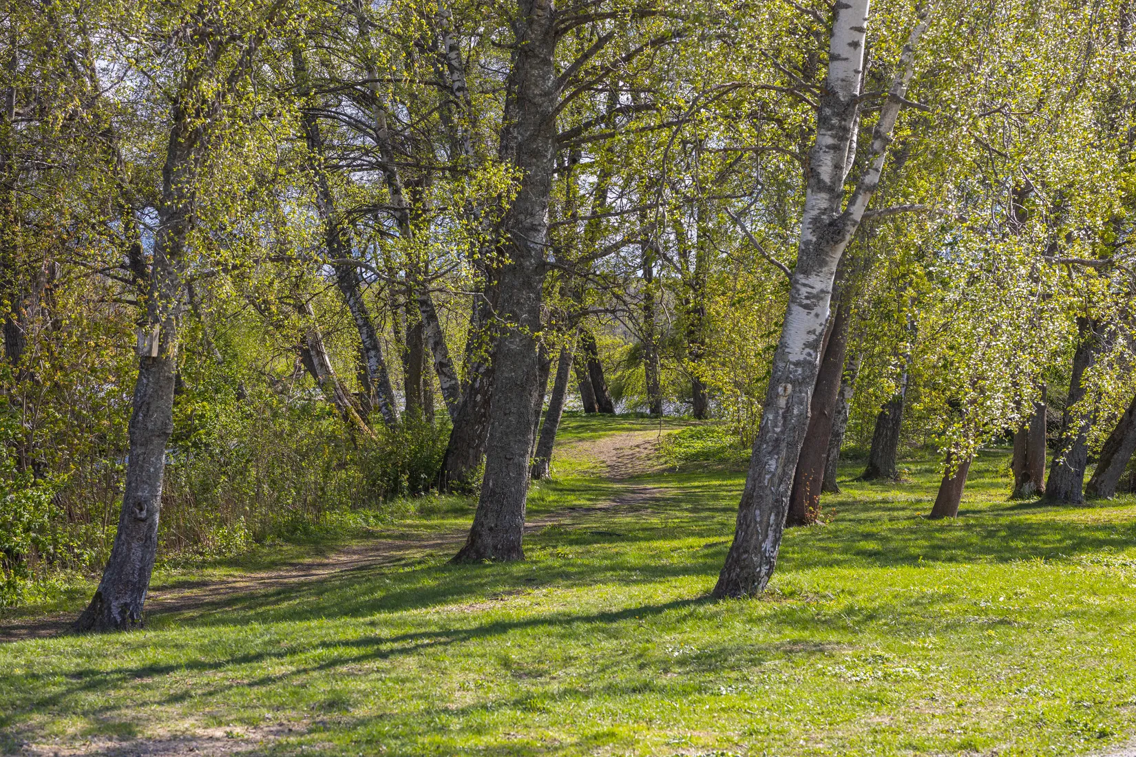 Bostadsrätt, Bjursvägen 48, Bollstanäs, Upplands Väsby