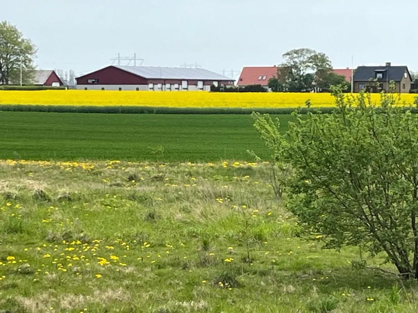 Tomt, Tingsvägen 54-0, Kävlinge