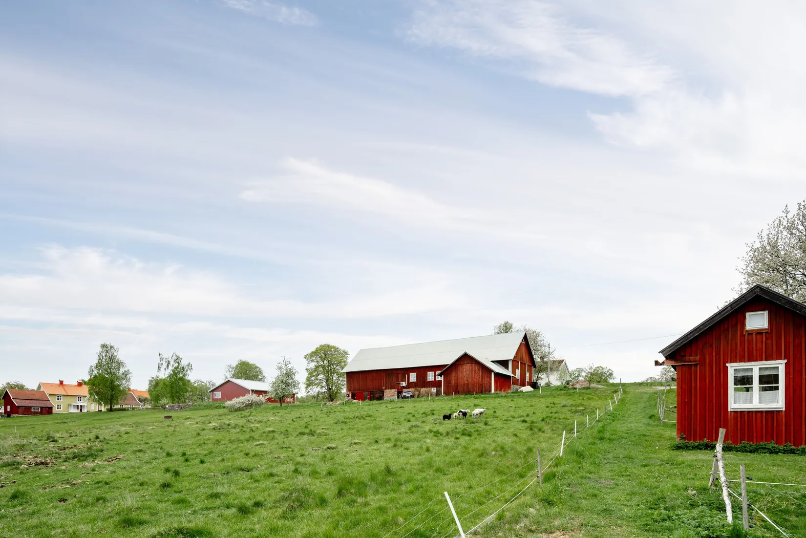 Gård/Skog, Sandreda Skattegård 1, Braås, Växjö