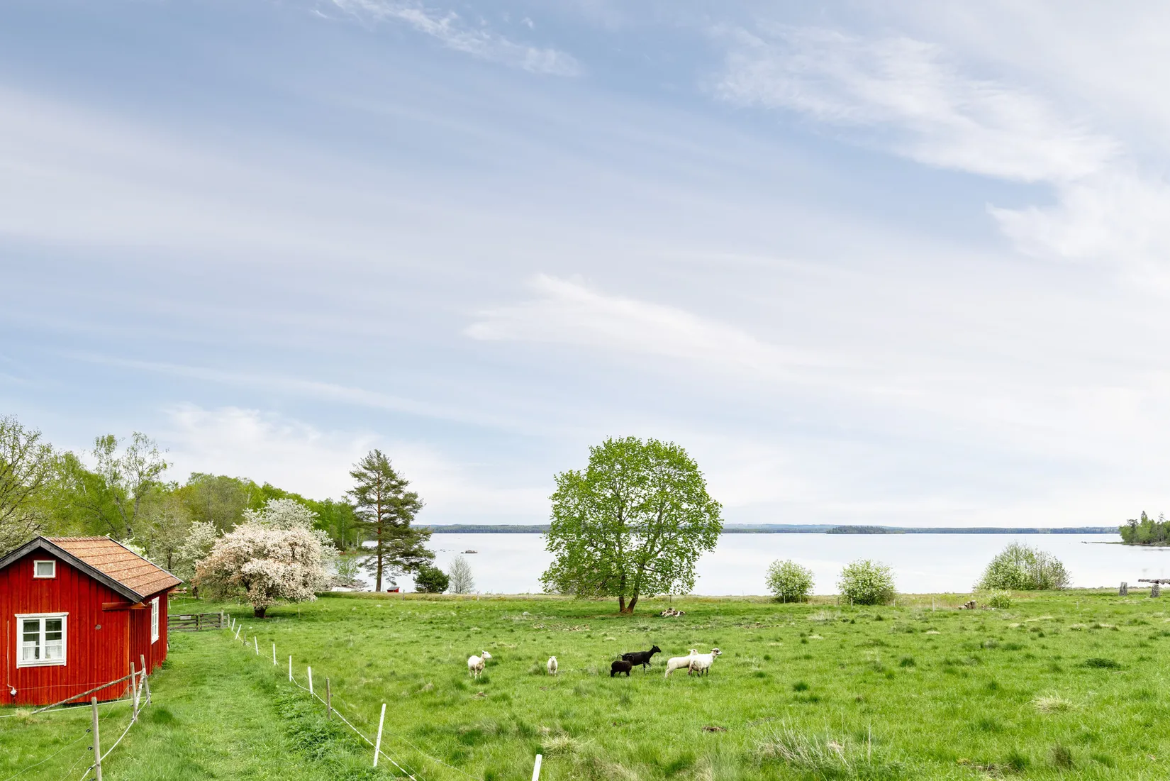 Gård/Skog, Sandreda Skattegård 1, Braås, Växjö