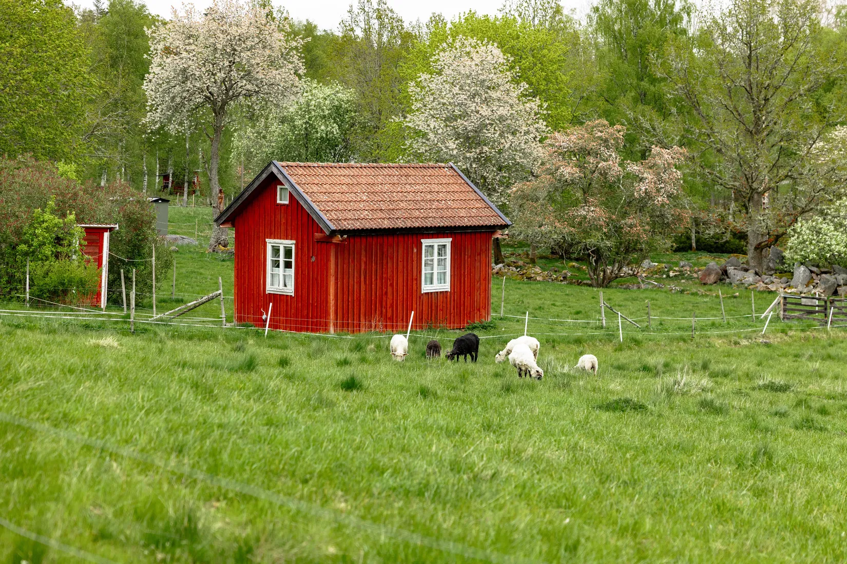 Gård/Skog, Sandreda Skattegård 1, Braås, Växjö
