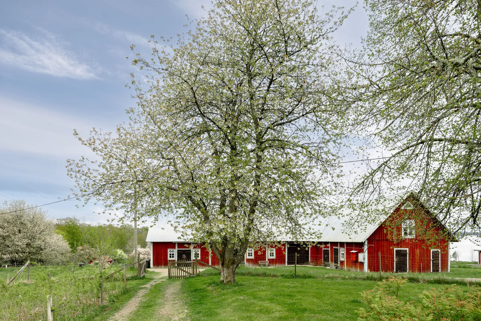 Gård/Skog, Sandreda Skattegård 1, Braås, Växjö