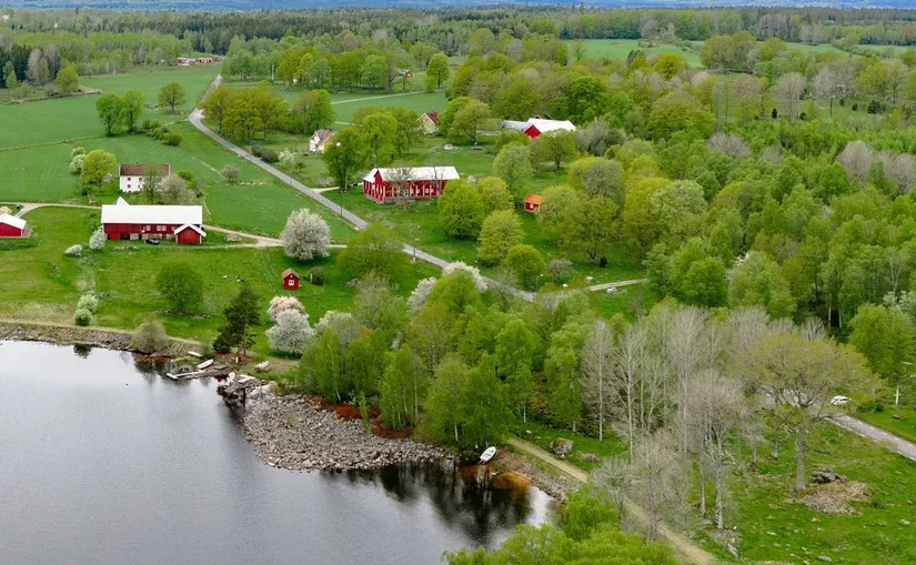 Gård/Skog, Sandreda Skattegård 1, Braås, Växjö