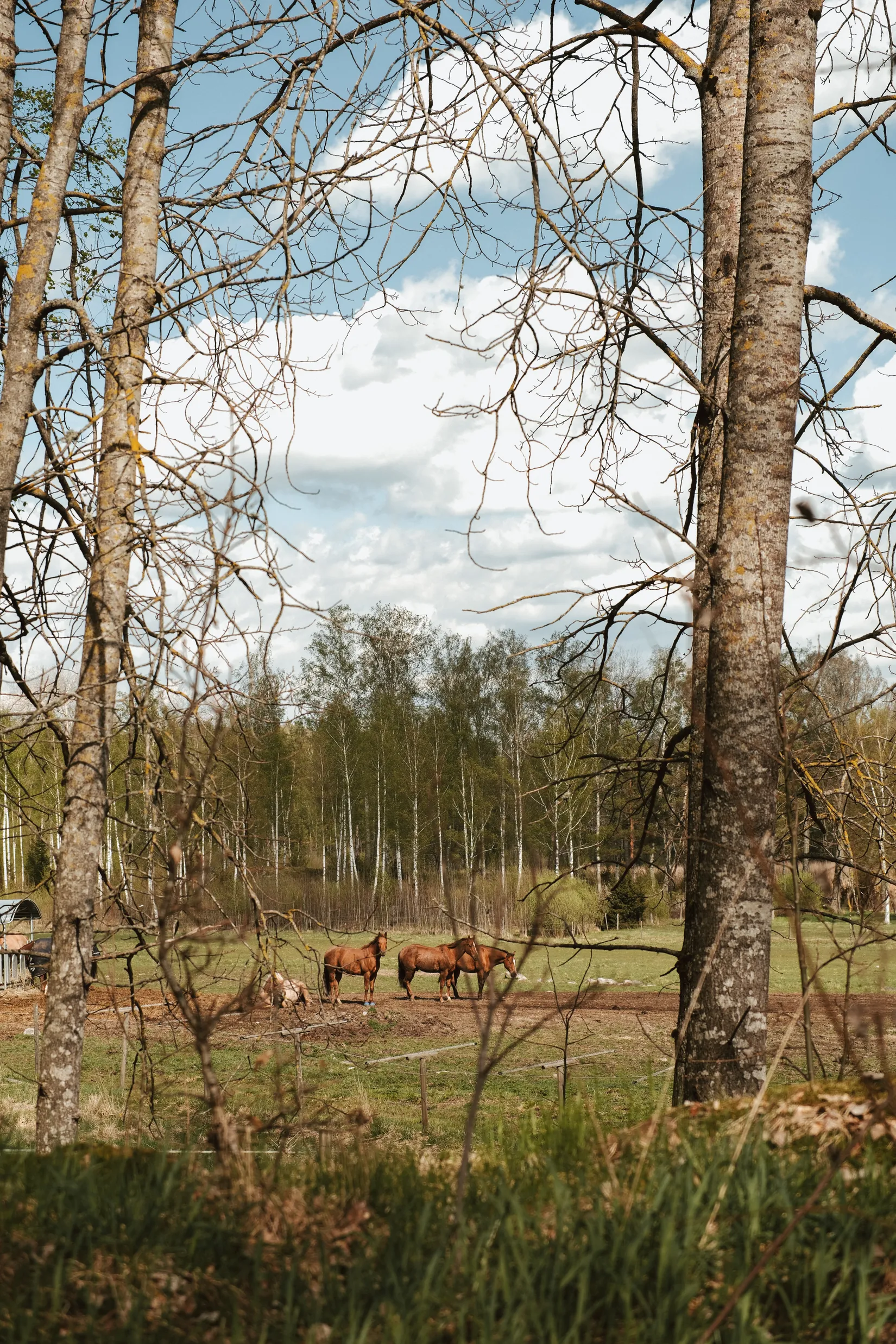 Villa, Långängens gård 3, Nykvarn