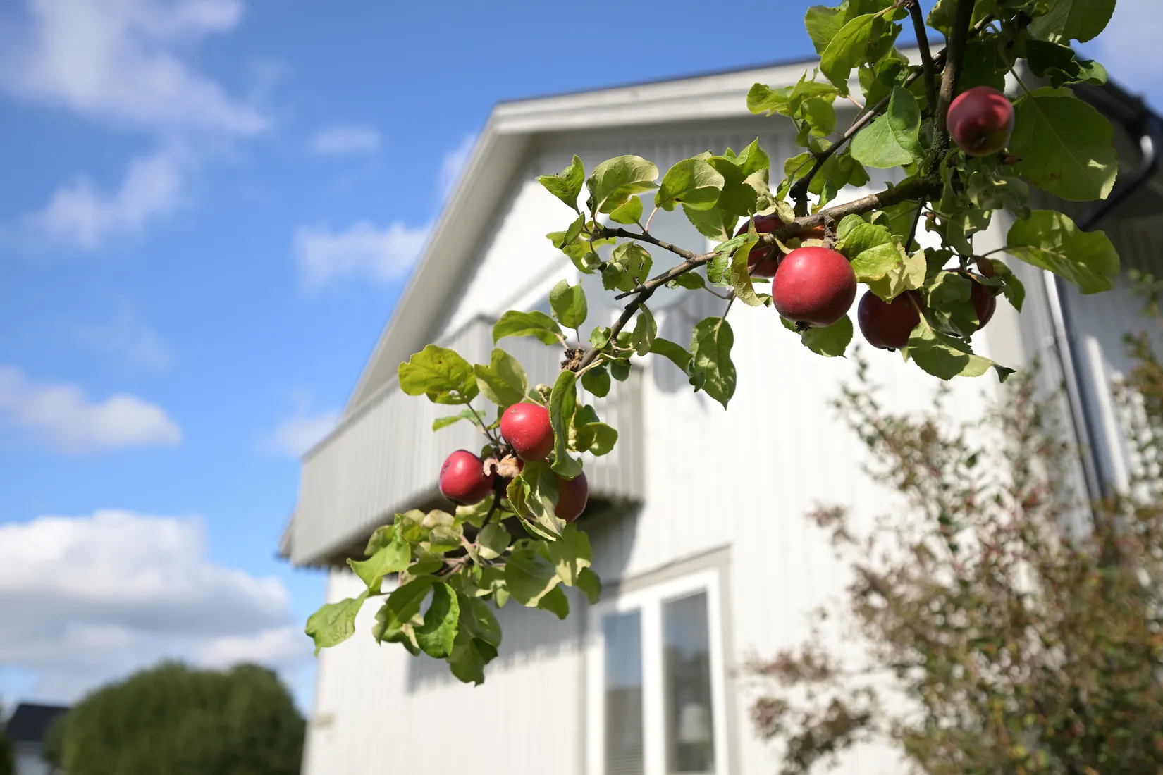Villa, Hemmansvägen 7, Västerhiske, Umeå