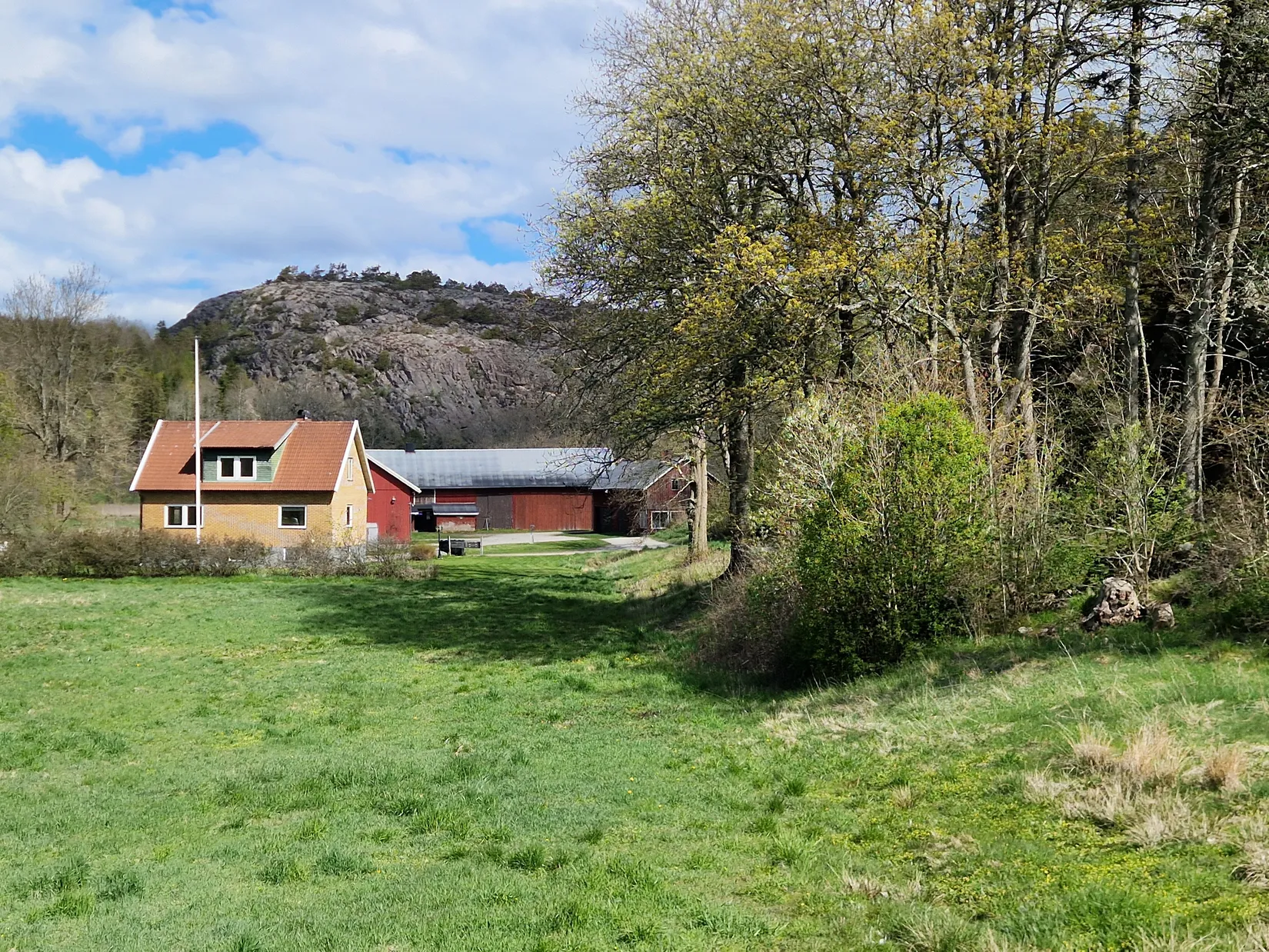 Gård/Skog, Olseröd 1, Tanumshede, Tanum