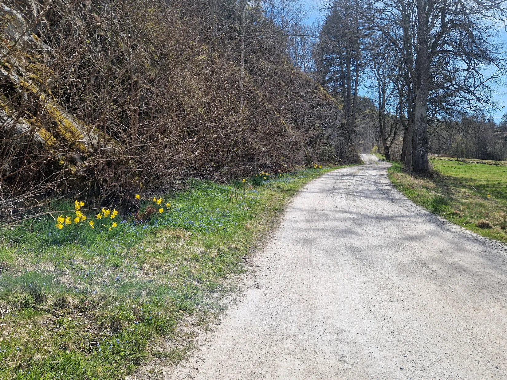 Gård/Skog, Olseröd 1, Tanumshede, Tanum