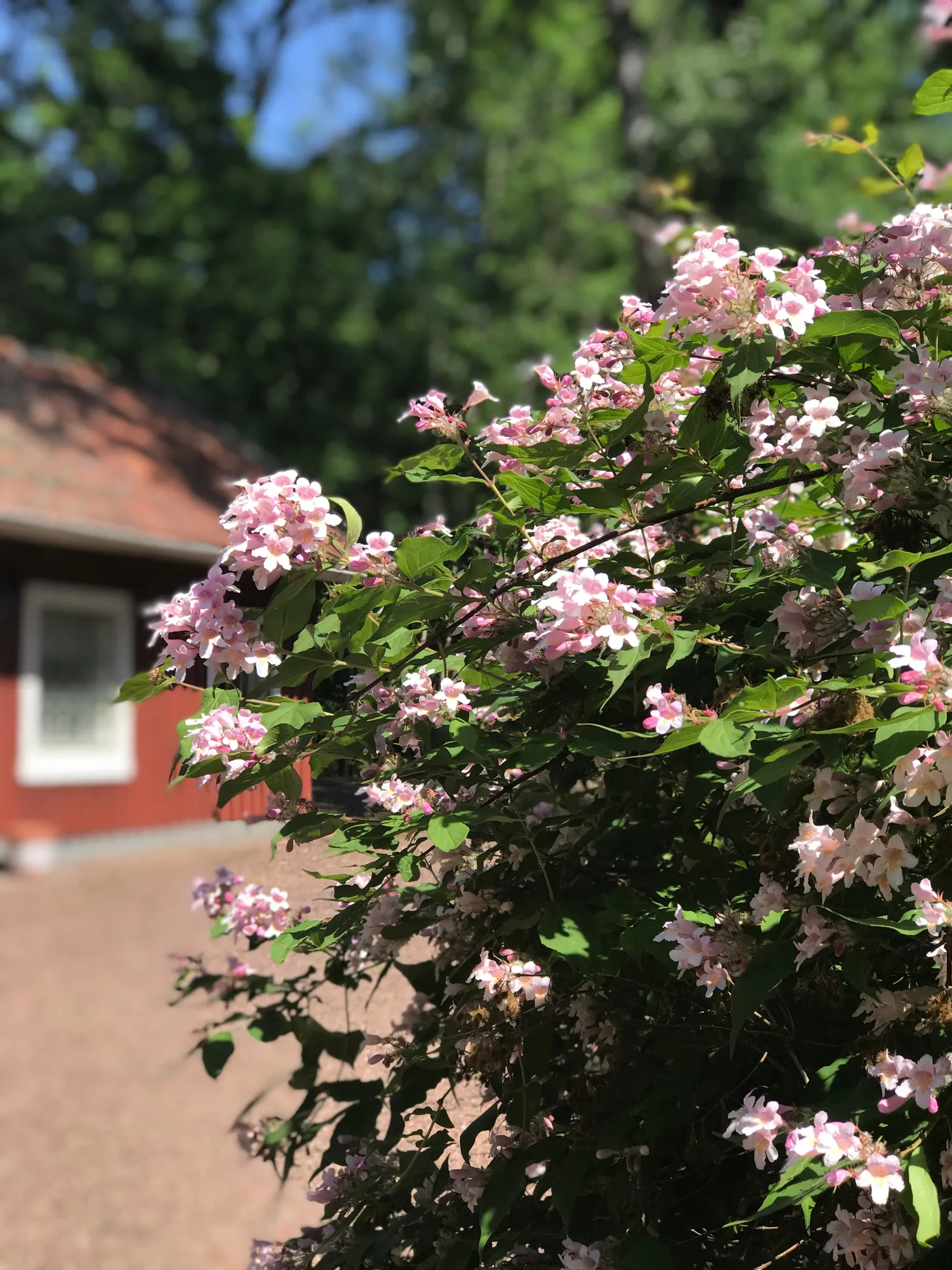 Villa, Alingsåsvägen 20, Lerum - Centralt, Lerum