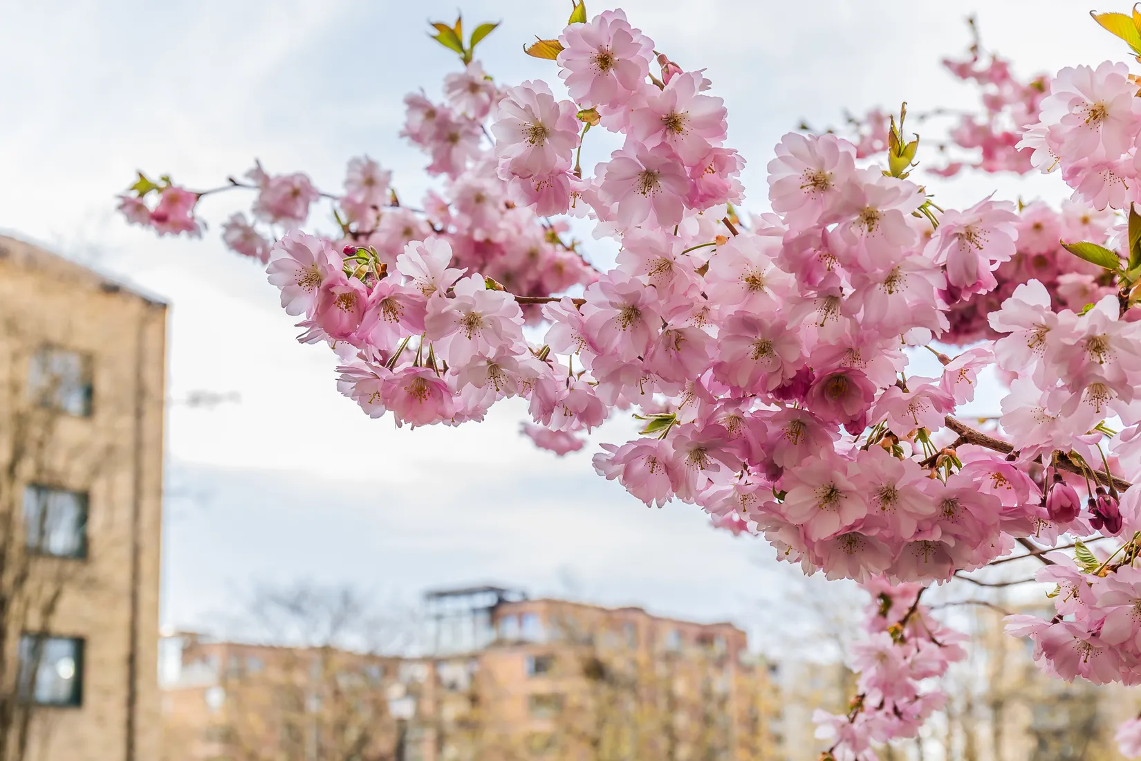 Bostadsrätt, Stagnellsgatan 9, Karlstad