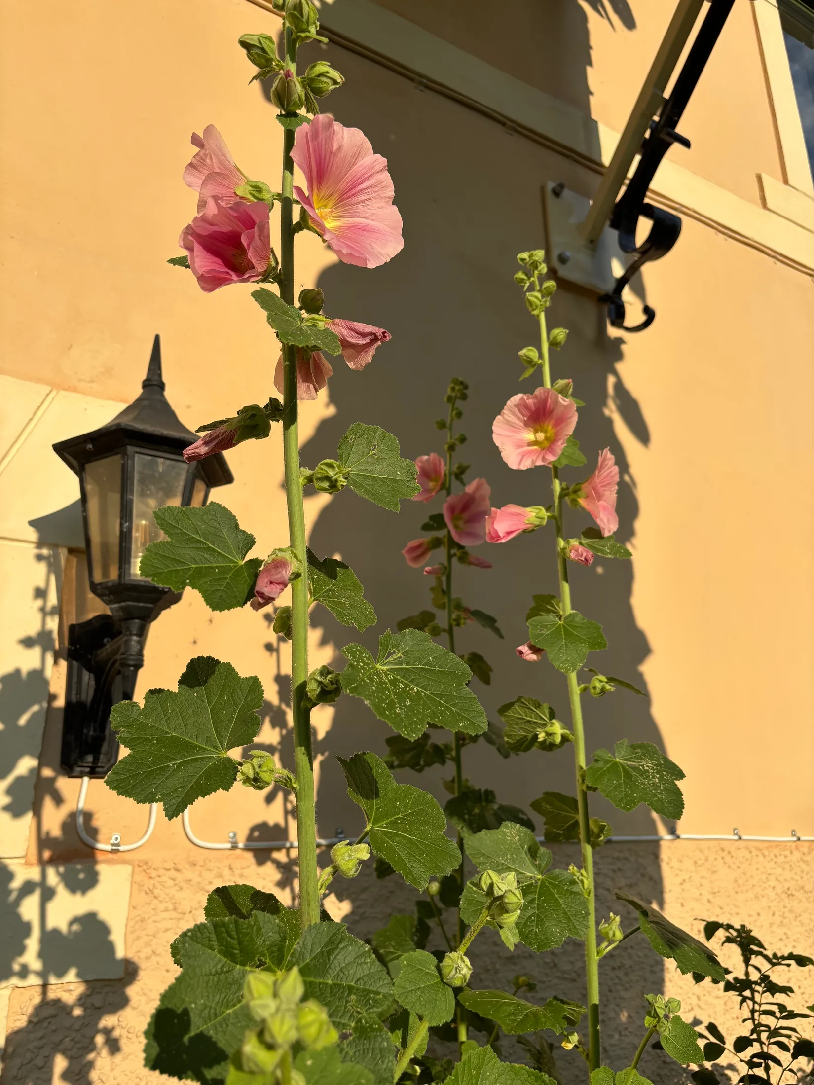 Bostadsrätt, Stagnellsgatan 9, Karlstad