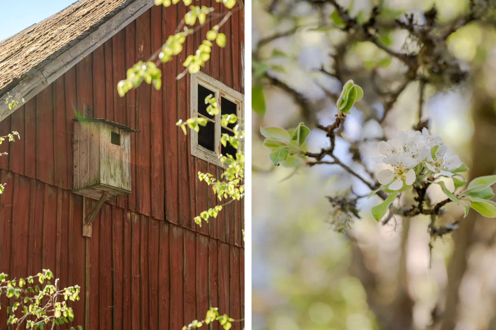 Fritidshus, Killebodavägen 37, Arkelstorp
