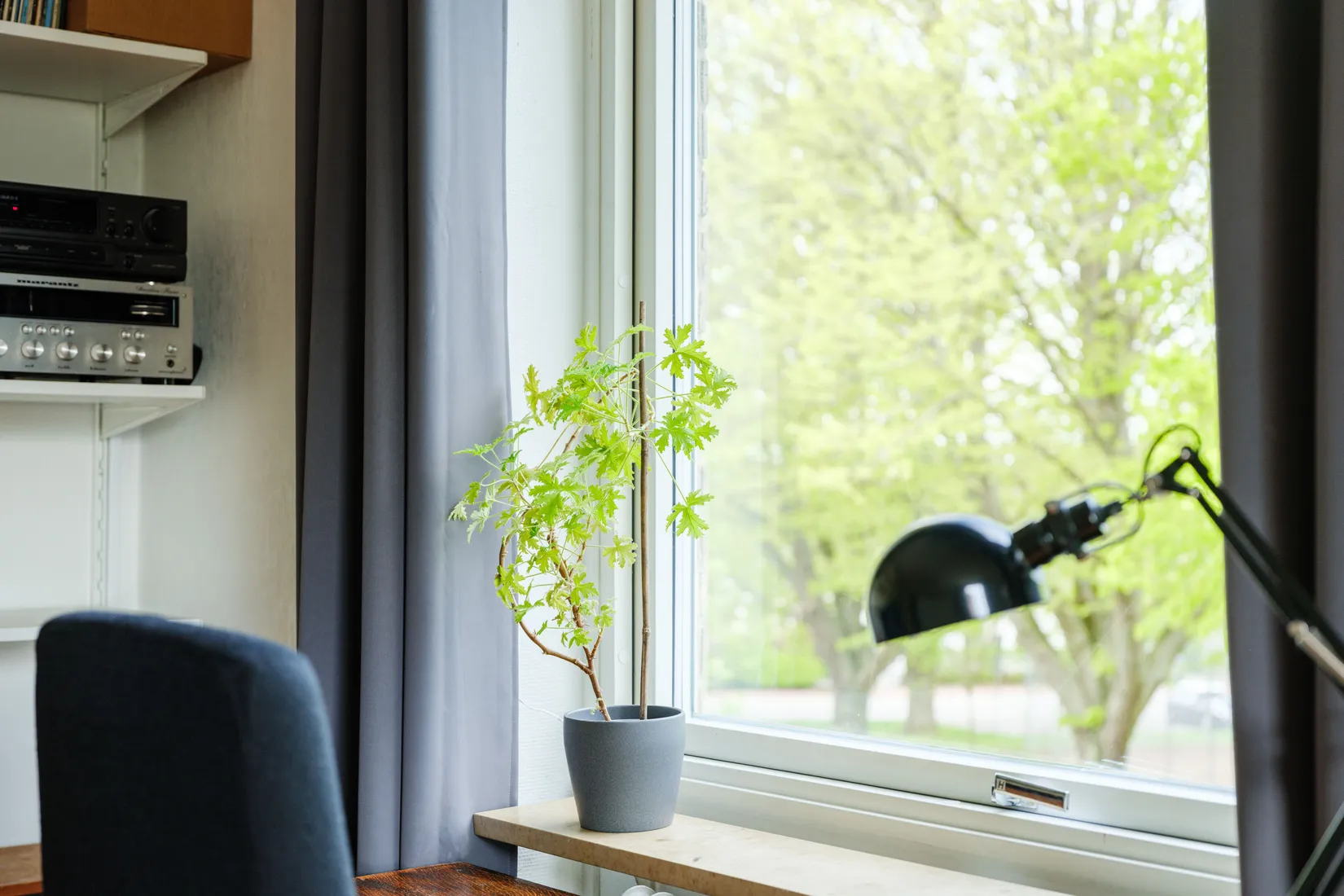 Bostadsrätt, Rabygatan 67, Gamla Limhamn, Malmö