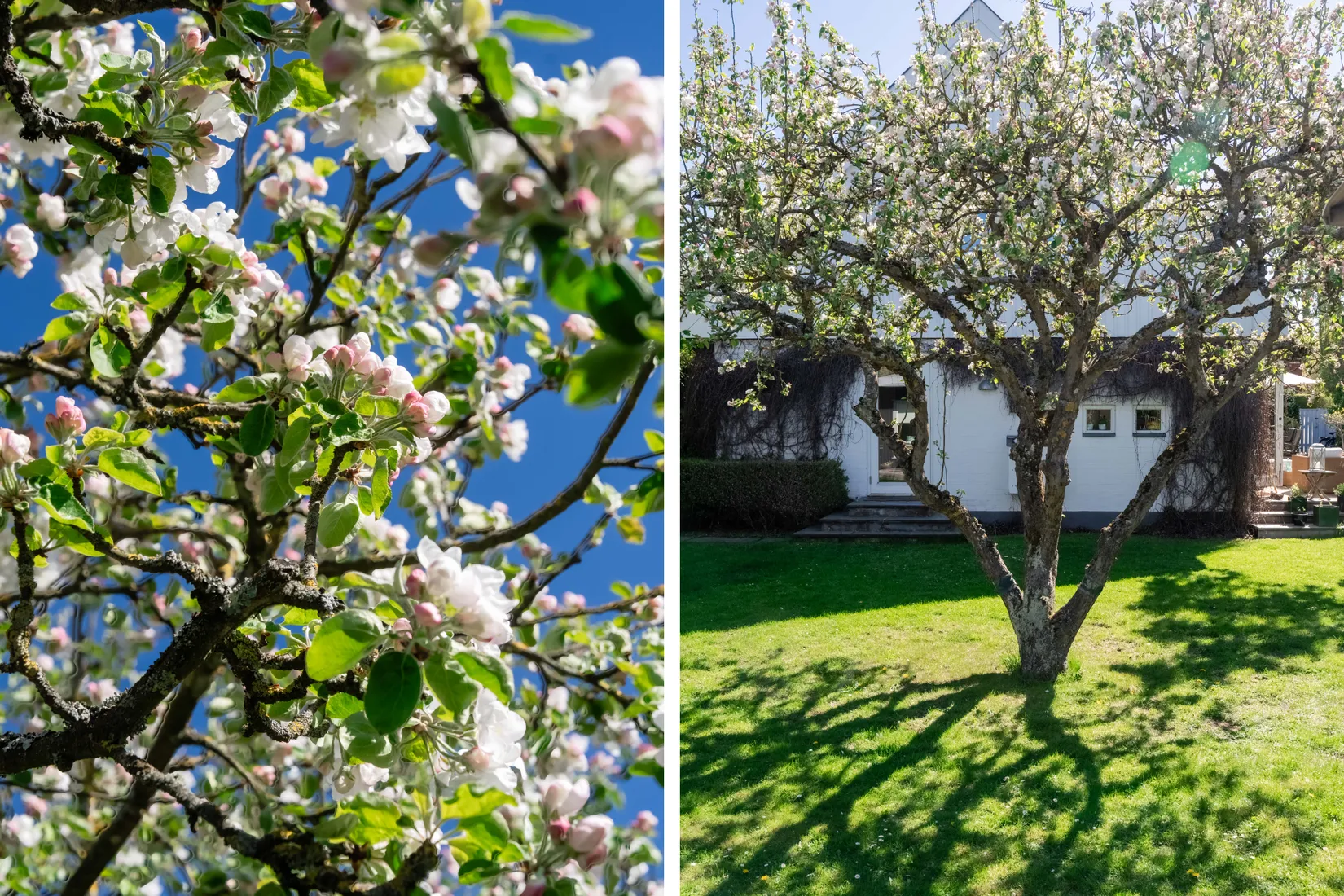 Villa, Västervångsgatan 4, Västervång, Malmö