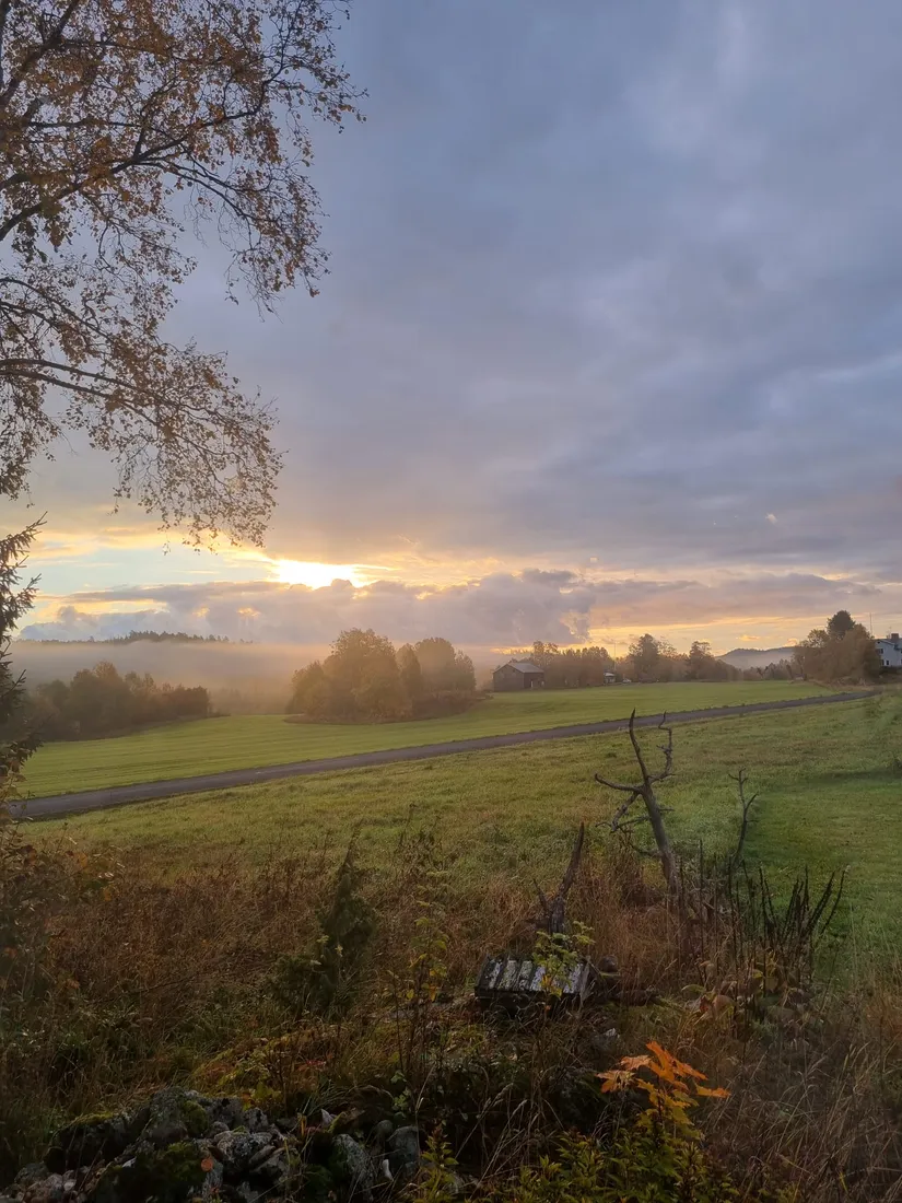 Villa, Flattom 133, Ramvik och Hälledal, Härnösand