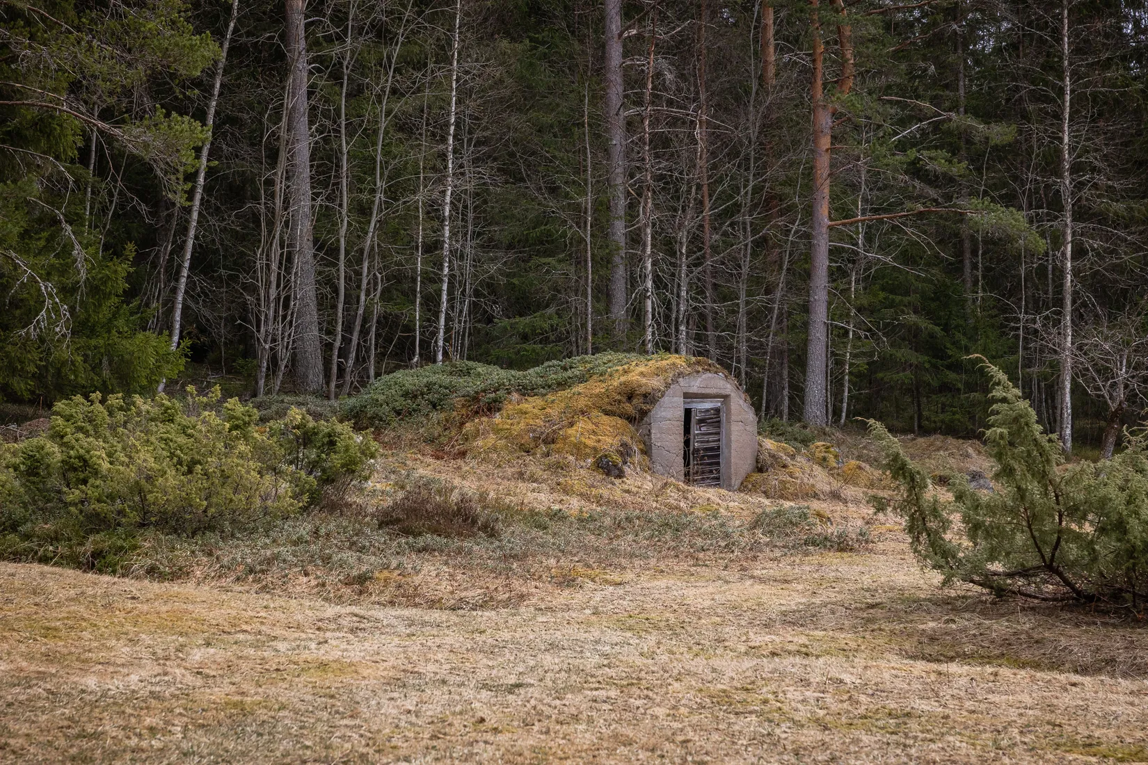 Villa, Björkberg Erkersvägen 13, Los, Hamra, Ljusdal