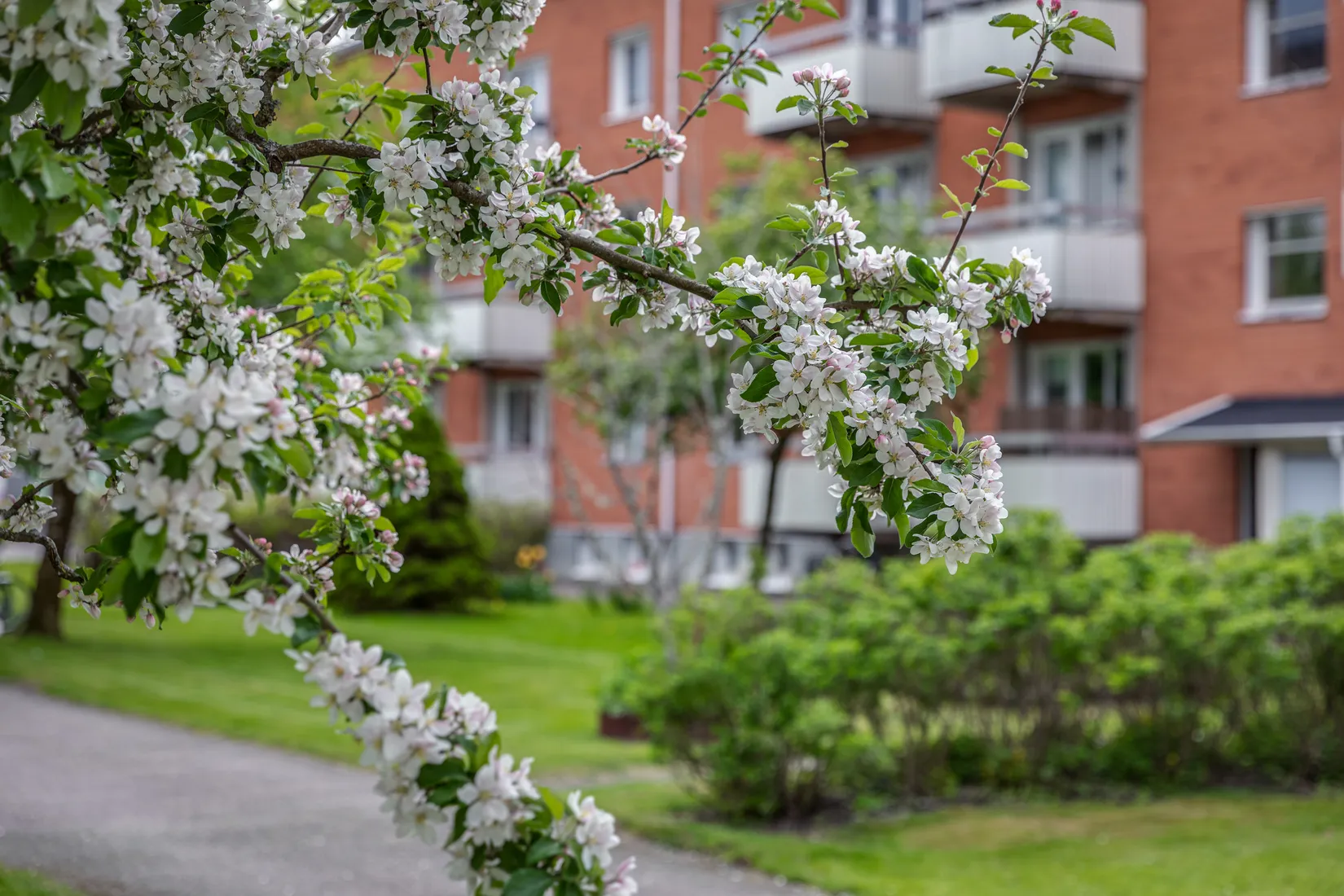 Bostadsrätt, Stridsbergsgatan 6C, Tingvalla, Trollhättan