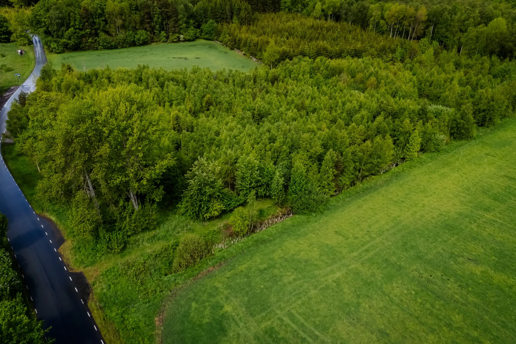 Gård/Skog, Ballingslöv 2440, Ballingslöv, Hässleholm