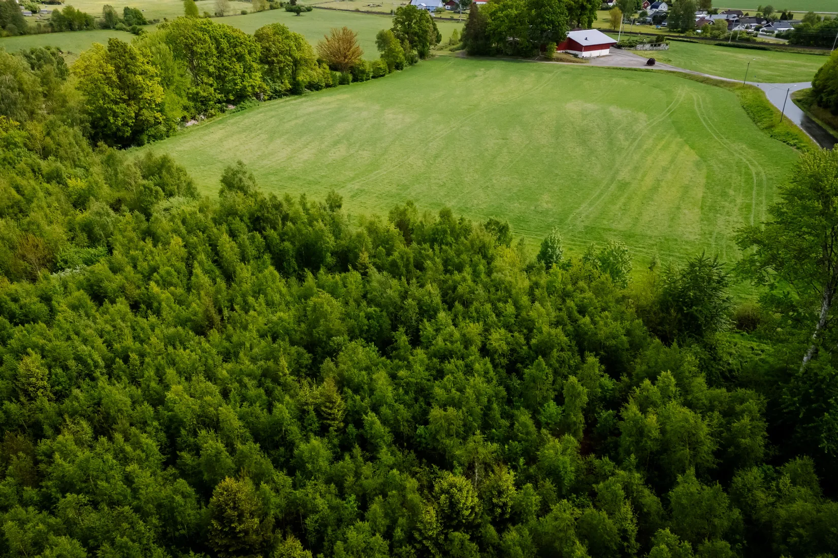 Gård/Skog, Ballingslöv 2440, Ballingslöv, Hässleholm